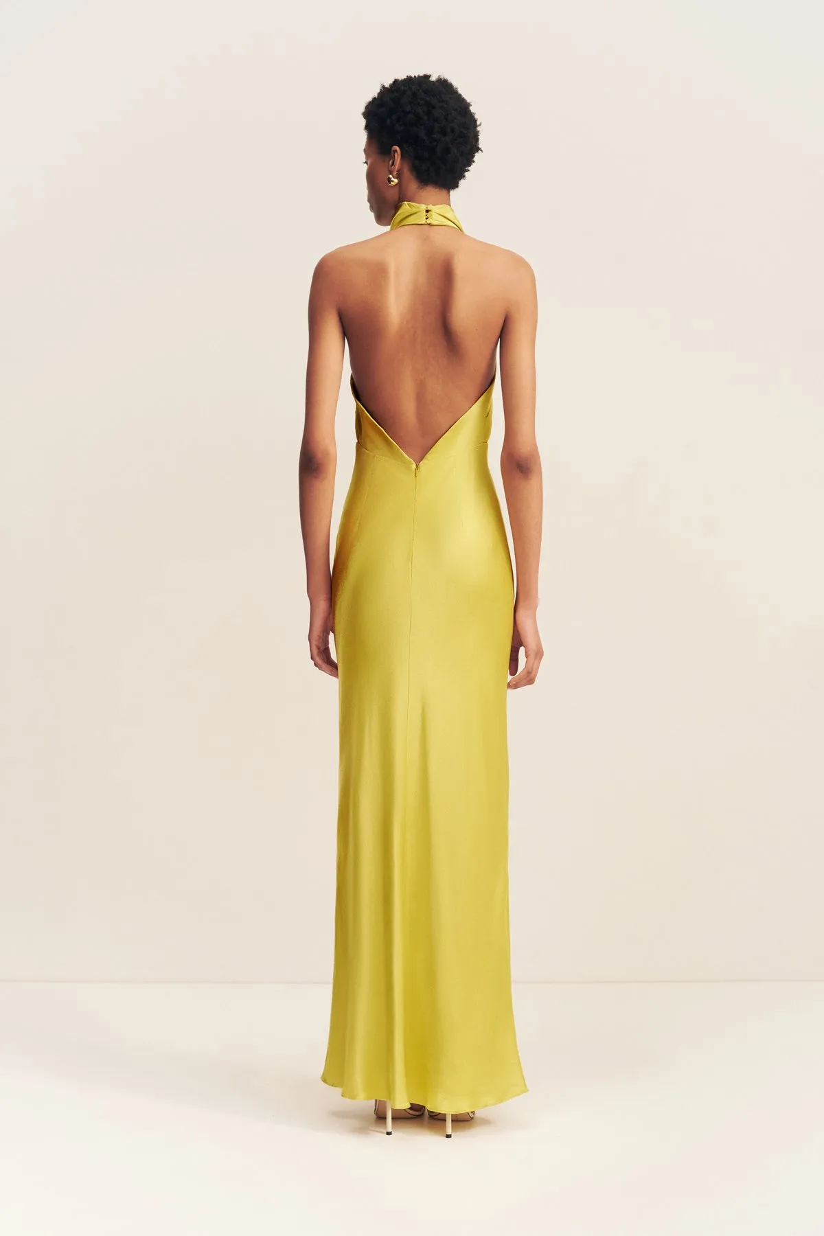 SOFIA HIGH COWL OPEN BACK MAXI DRESS - LIME sold by Shona Joy product image thumbnail 4