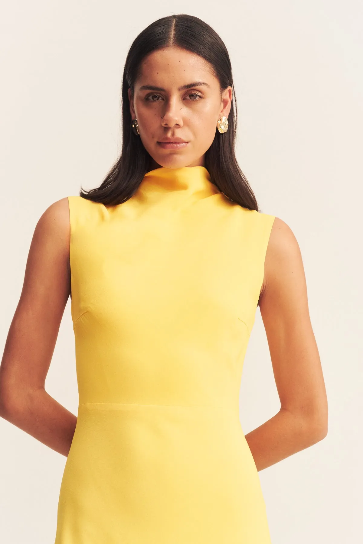 PIERCE SLEEVELESS MAXI DRESS - SUNFLOWER sold by Shona Joy product image thumbnail 2