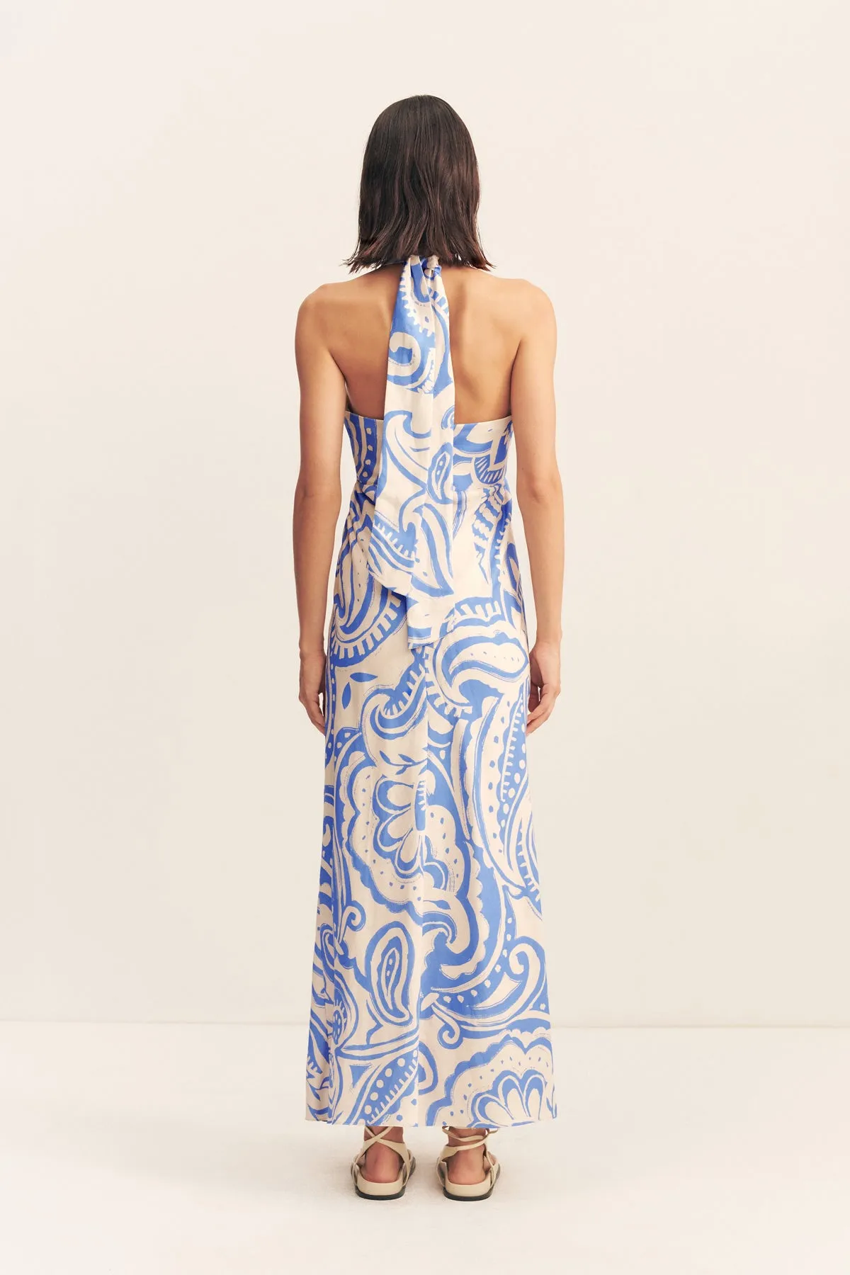 FRANCIS RUCHED HALTER MAXI DRESS sold by Shona Joy product image thumbnail 5