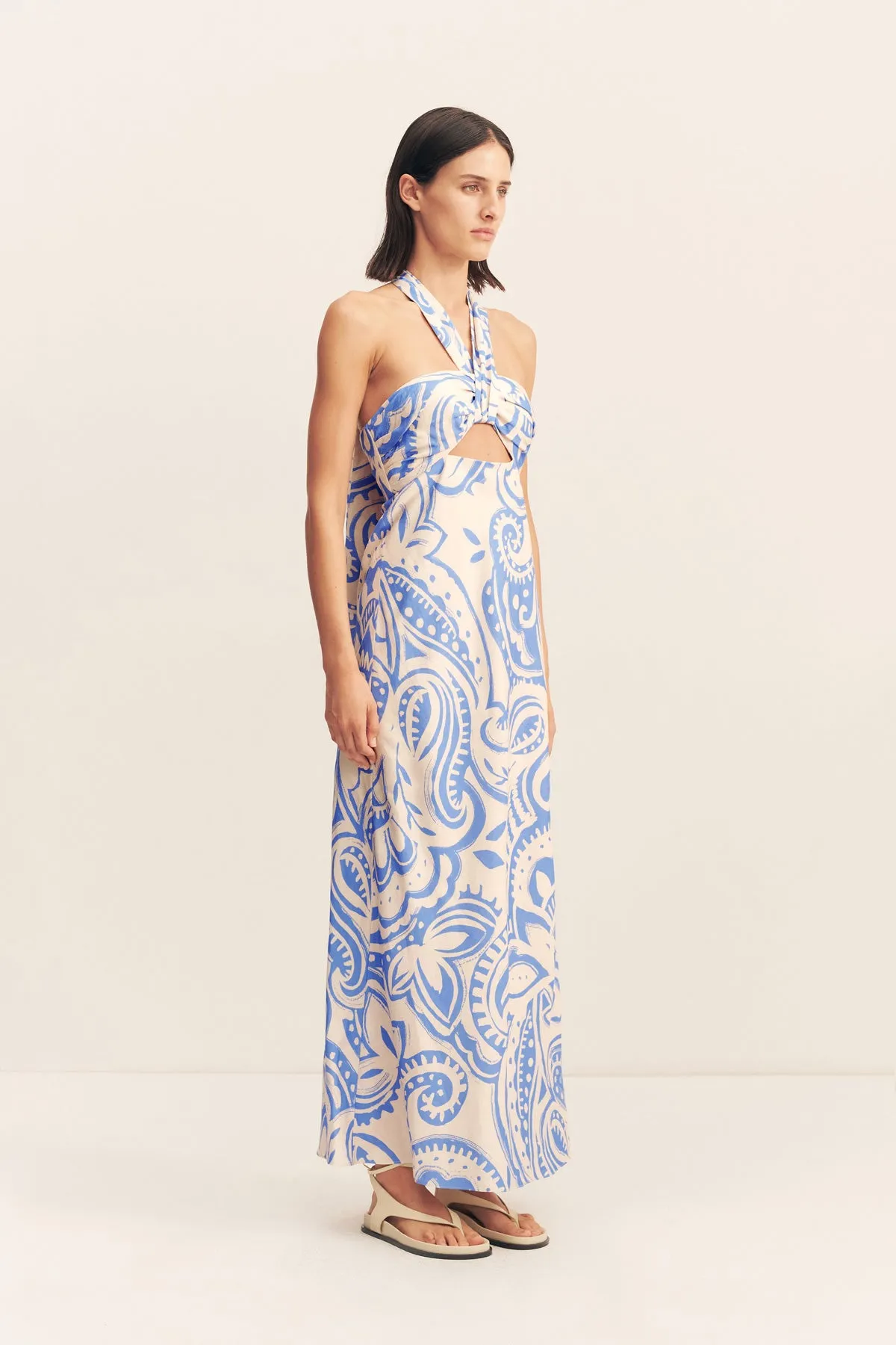 FRANCIS RUCHED HALTER MAXI DRESS sold by Shona Joy product image thumbnail 3