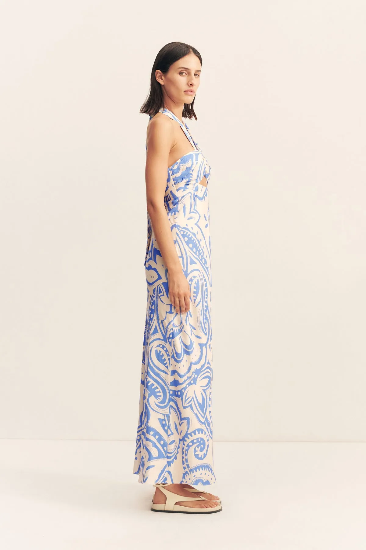 FRANCIS RUCHED HALTER MAXI DRESS sold by Shona Joy product image thumbnail 4