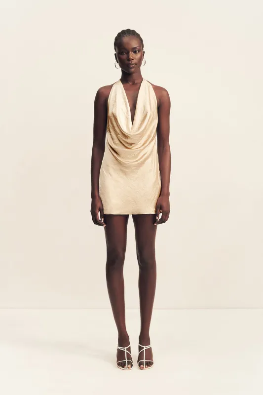 ANDIE CRUSHED LOW COWL MINI DRESS - CHAMPAGNE made by Shona Joy