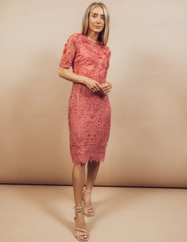 Adelson Lace Dress sold by Shop Stevie