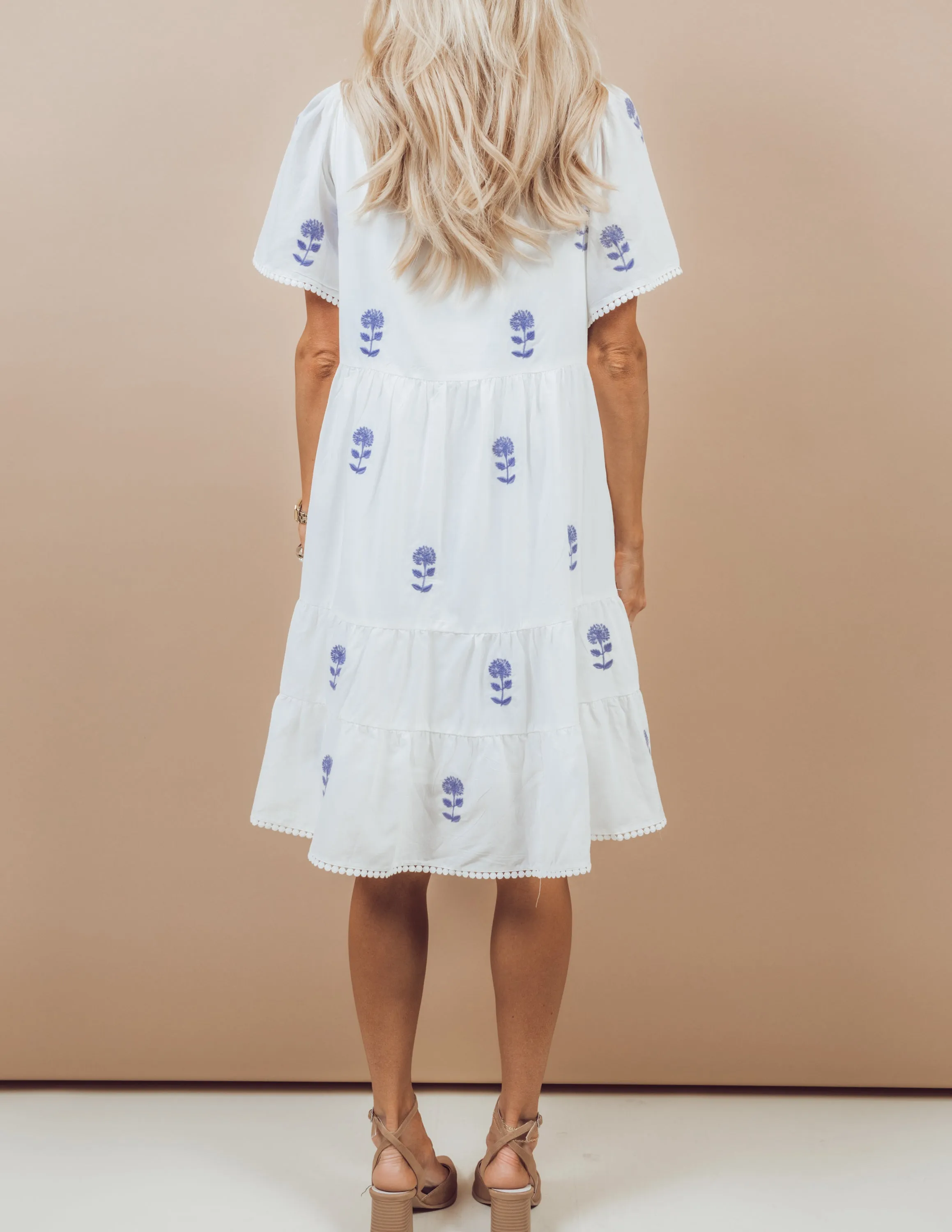 Alina Embroidered Dress sold by Shop Stevie product image thumbnail 4