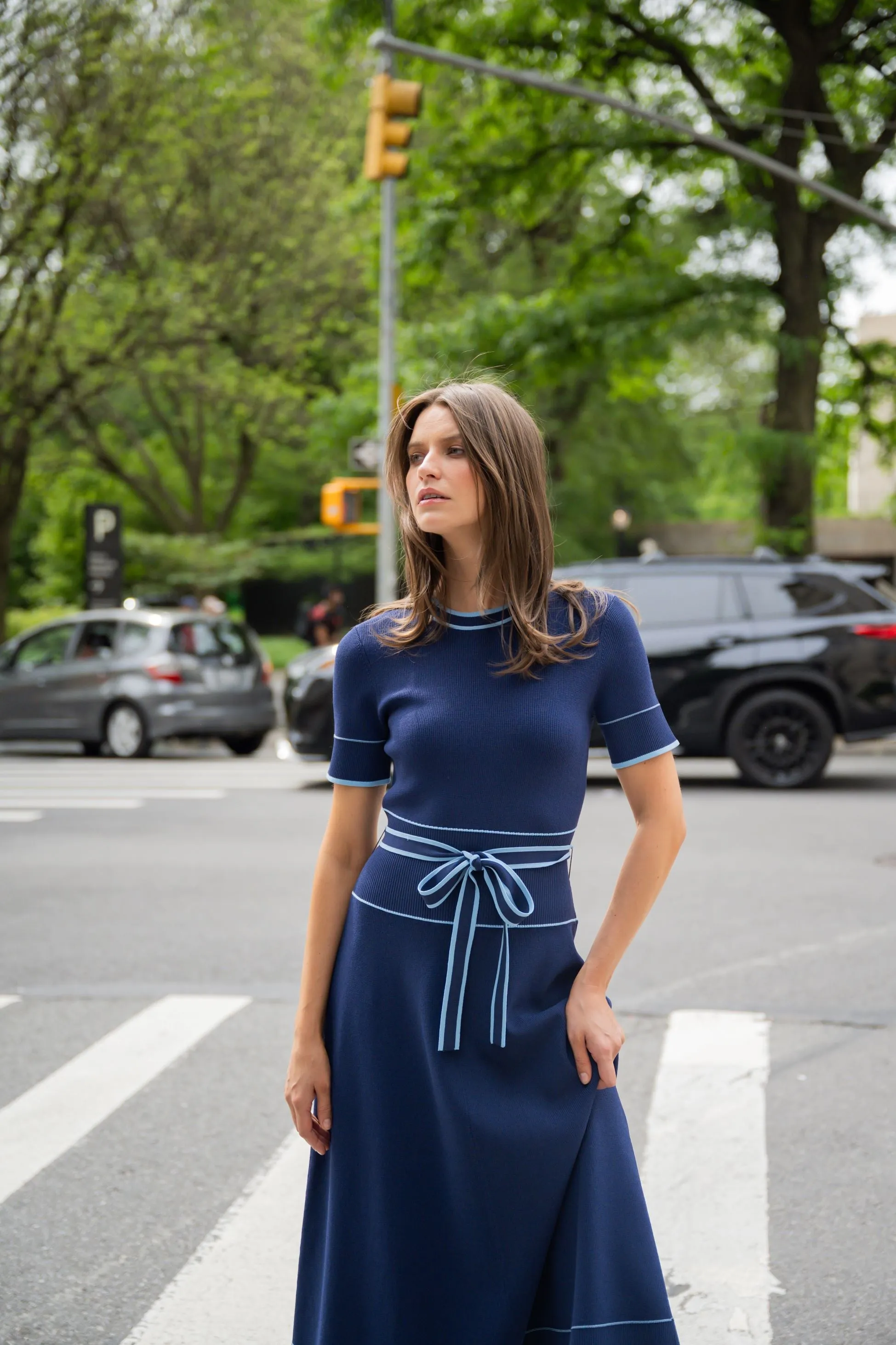 Addison Dress sold by Shoshanna product image thumbnail 4