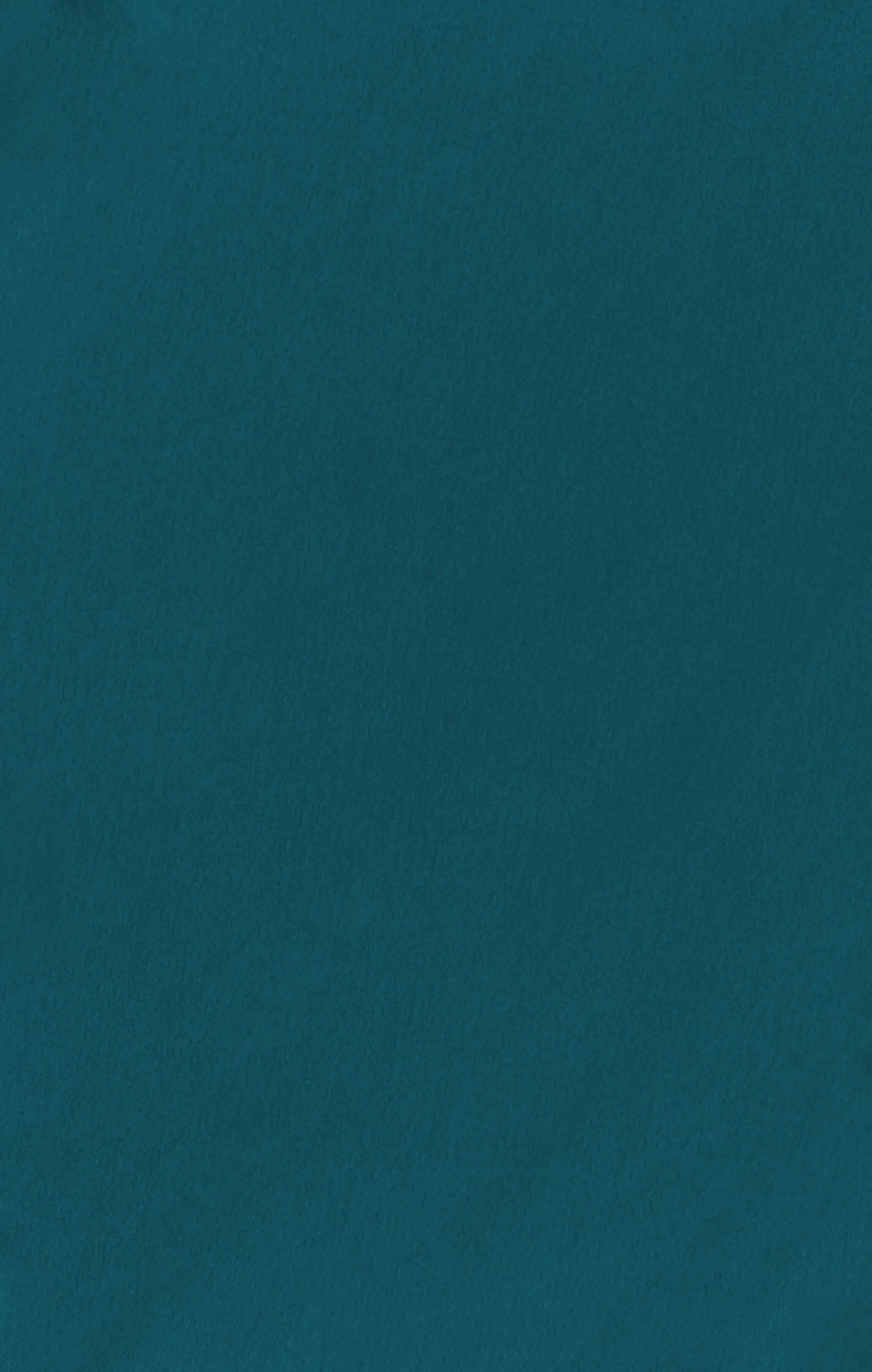 Bridesmaid Fabric Swatch ~ Deep Emerald Luxe Satin sold by Show Me Your MuMu product image thumbnail 3