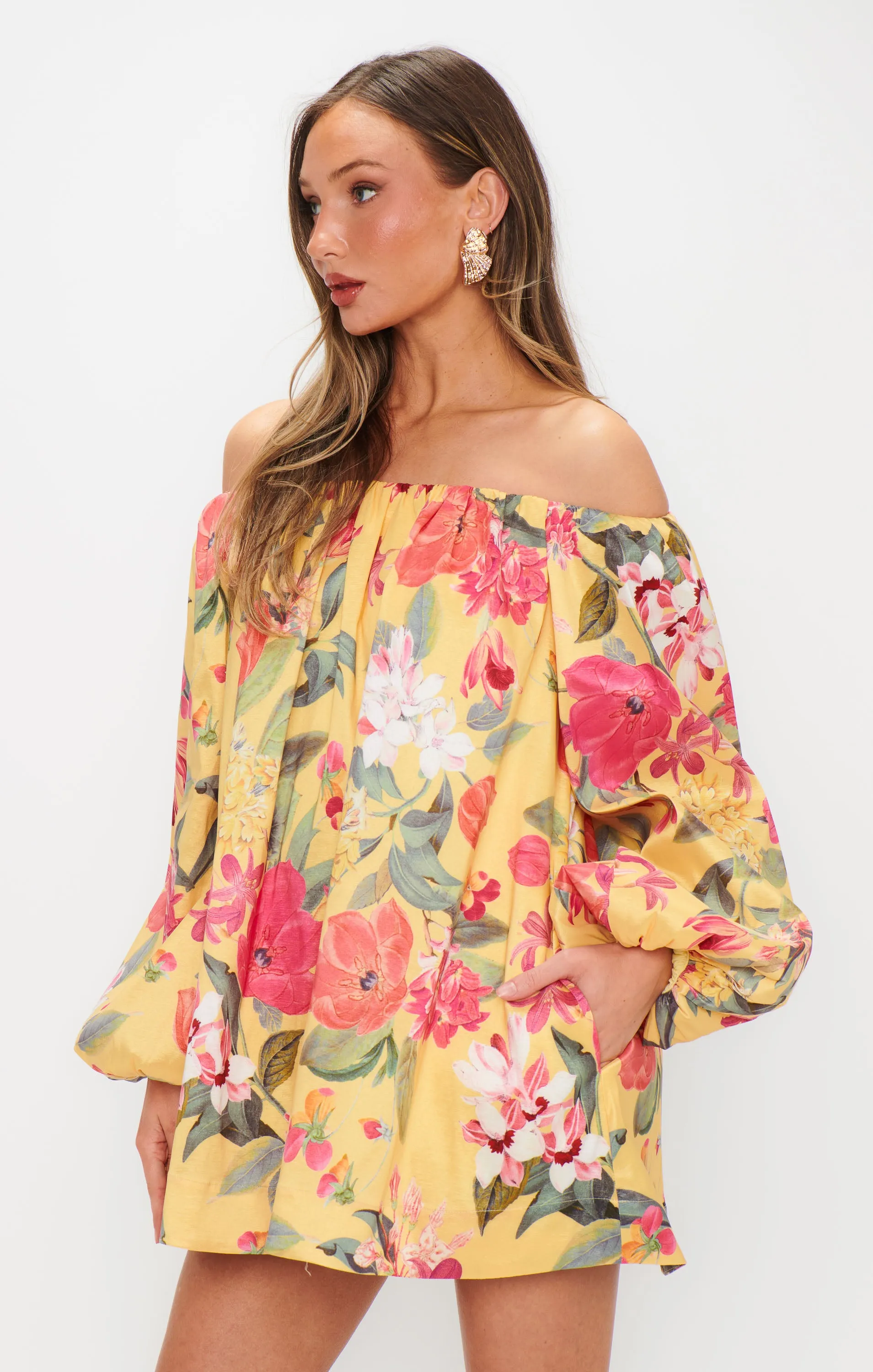 Brenna Mini Dress ~ Mimosa Floral Taffeta sold by Show Me Your MuMu product image thumbnail 2