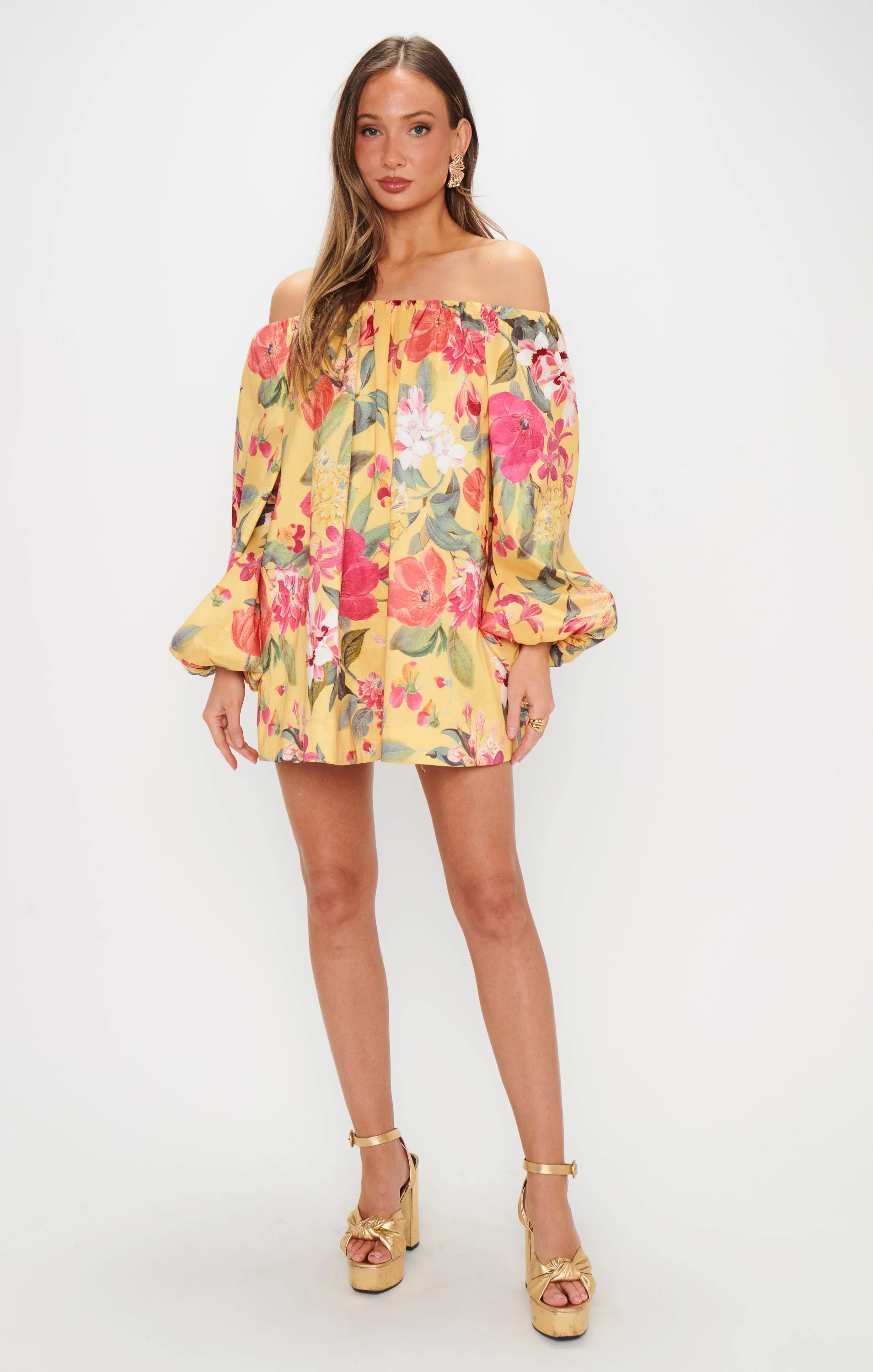Brenna Mini Dress ~ Mimosa Floral Taffeta sold by Show Me Your MuMu product image thumbnail 4