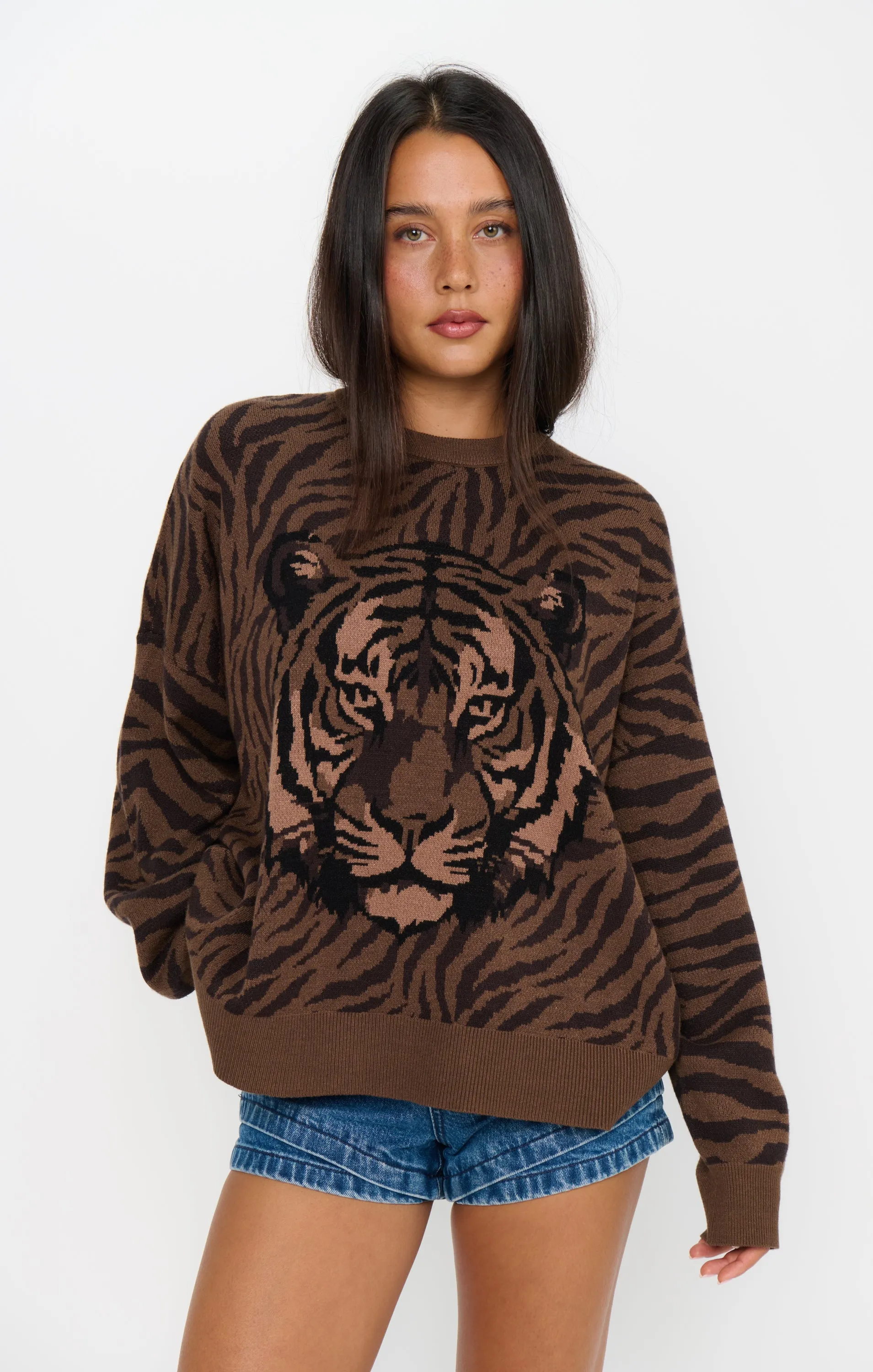 Seasons Sweater ~ Wild Tiger Graphic Knit sold by Show Me Your MuMu product image thumbnail 2