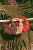 Raffia Lopsy Bag in Cherry Red sold by Simon Miller