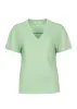 Teddie Top Salvia sold by Simple