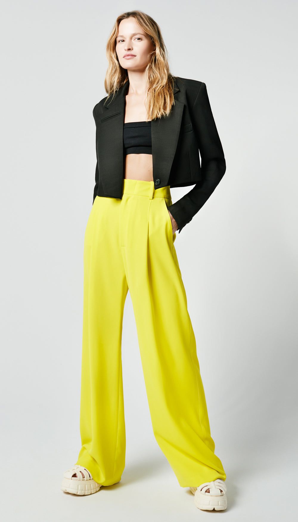 Pleated Trouser sold by Smythe