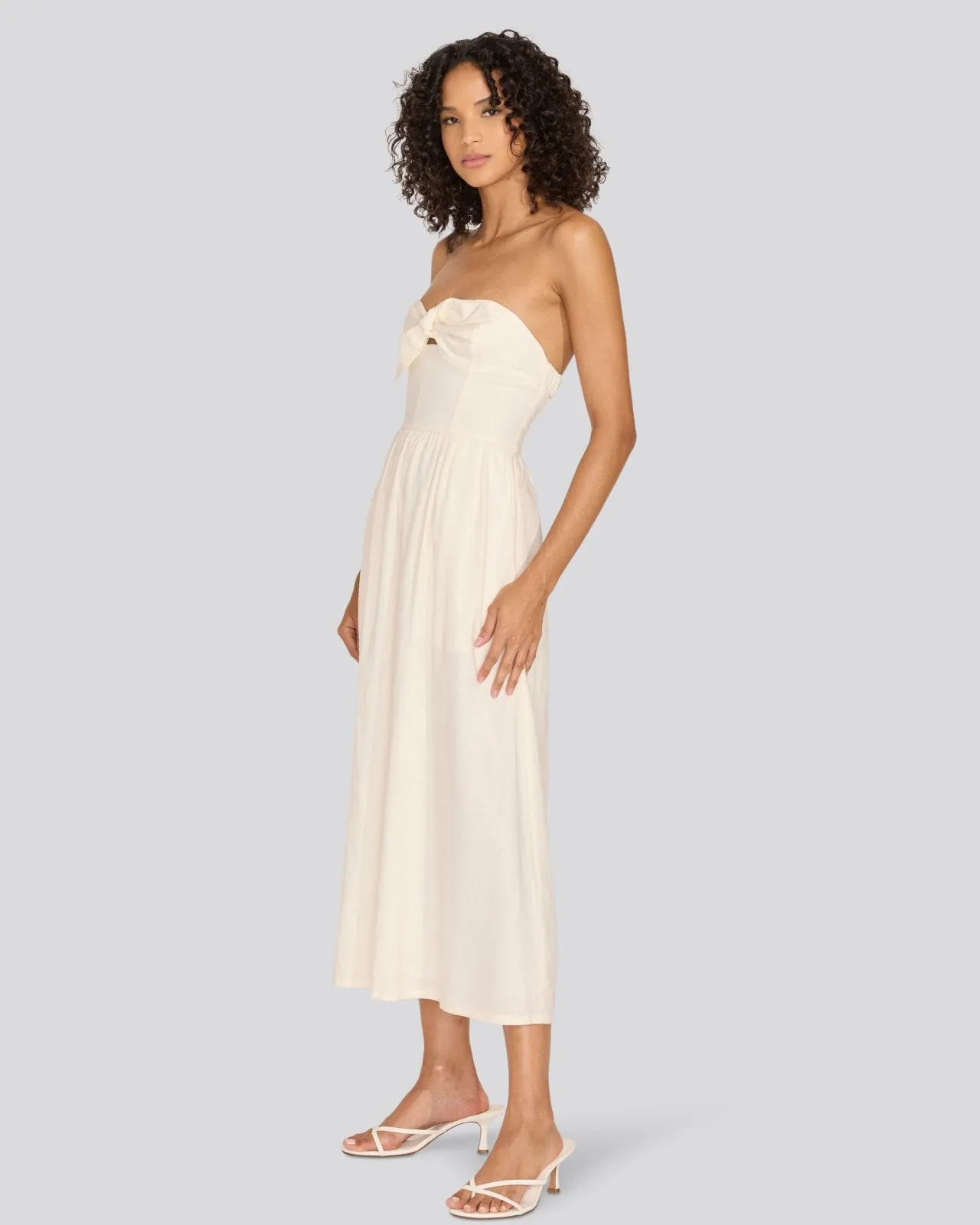 Aurora Dress Brule sold by SOLID & STRIPED product image thumbnail 4