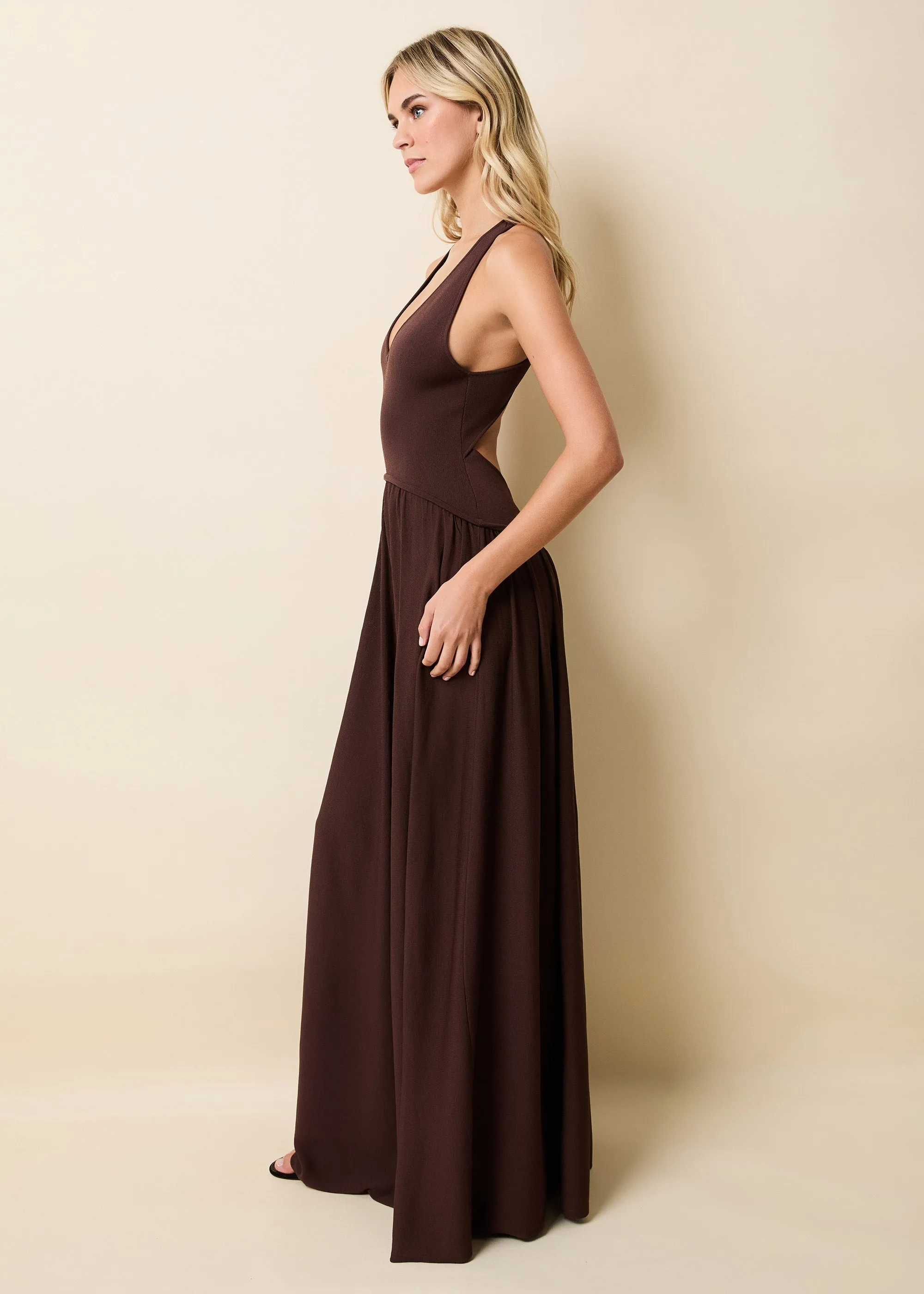 Maggie Dress Raisin Brown sold by SOLID & STRIPED product image thumbnail 4