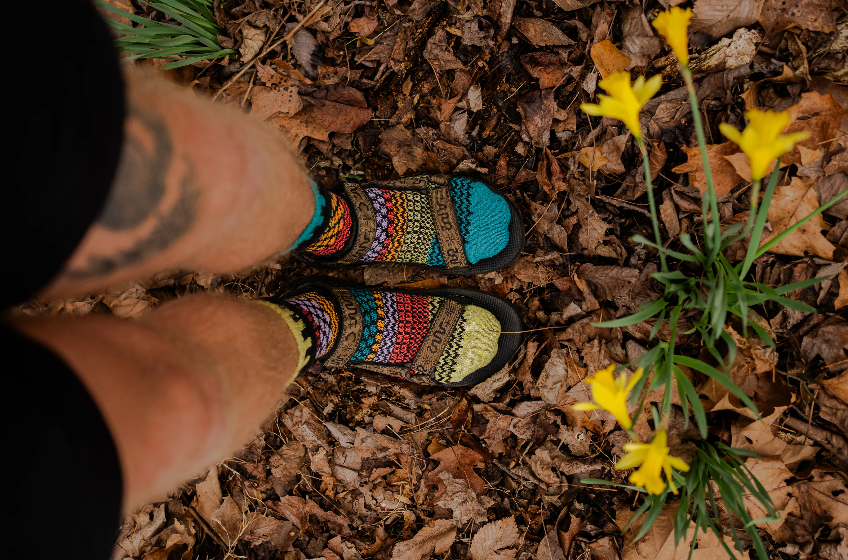 Artichoke Crew Socks sold by Solmate Socks product image thumbnail 2