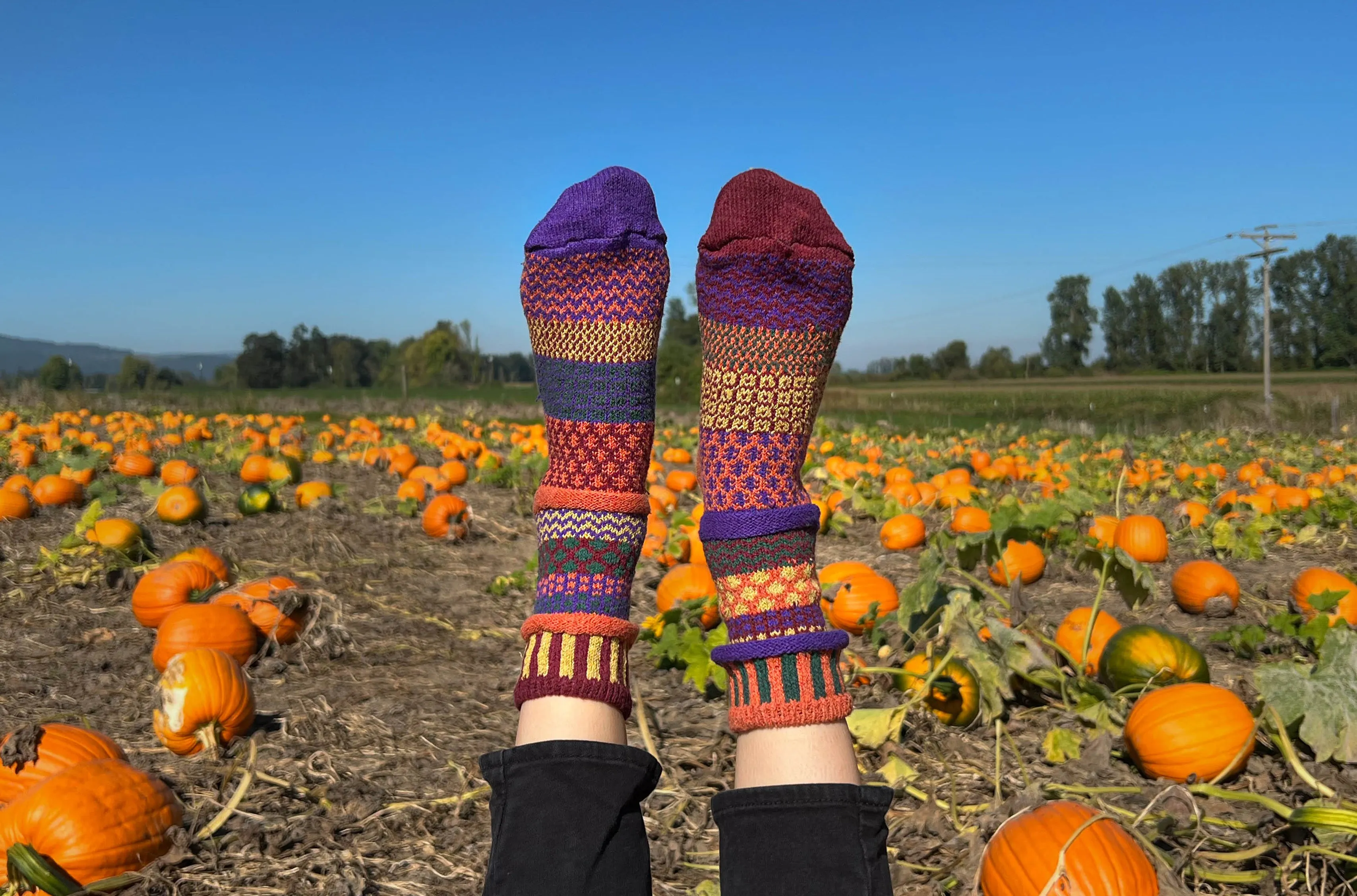 Fall Foliage Crew Socks sold by Solmate Socks product image thumbnail 2
