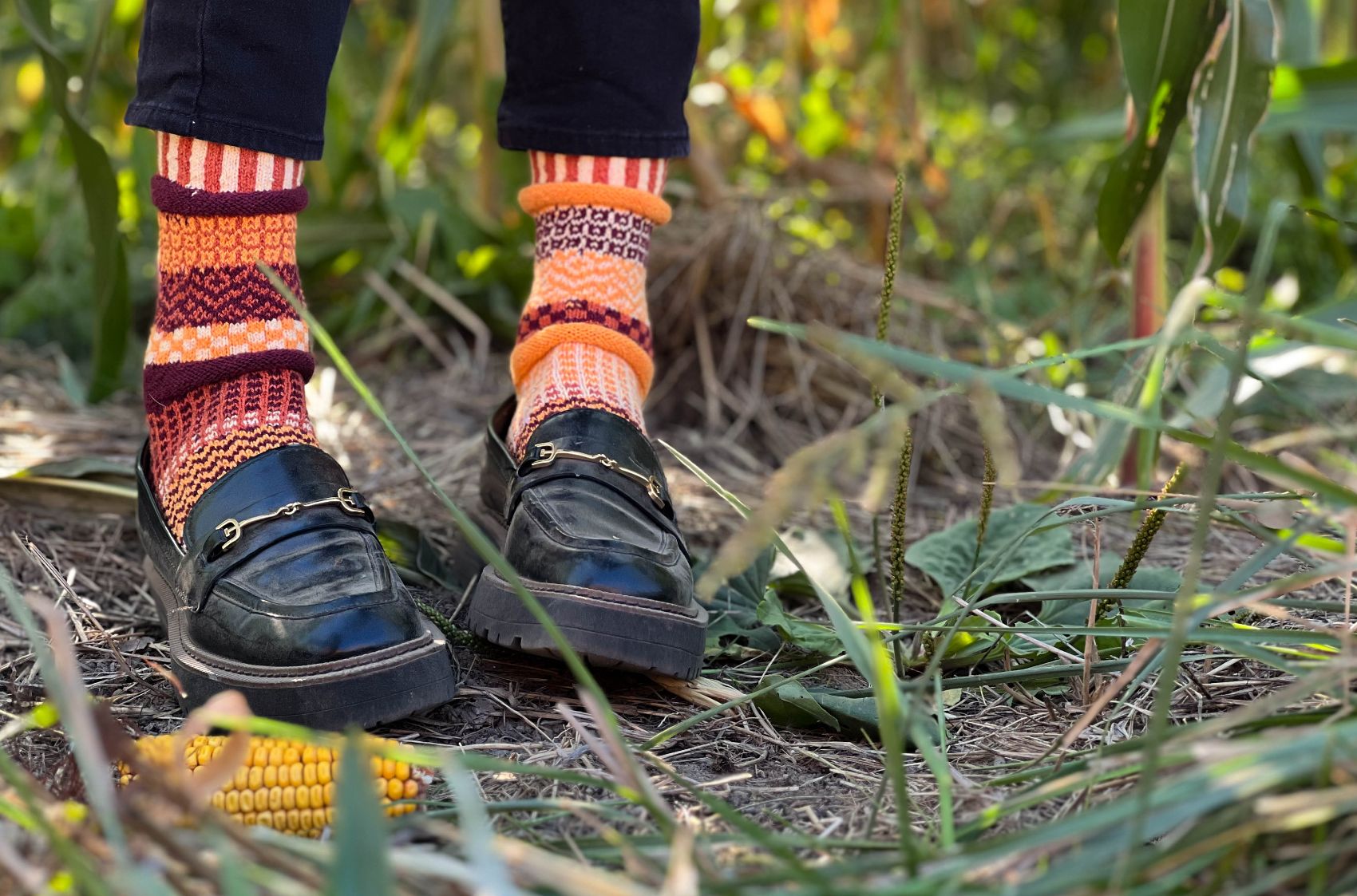 Pumpkin Pie Crew Socks sold by Solmate Socks product image thumbnail 4