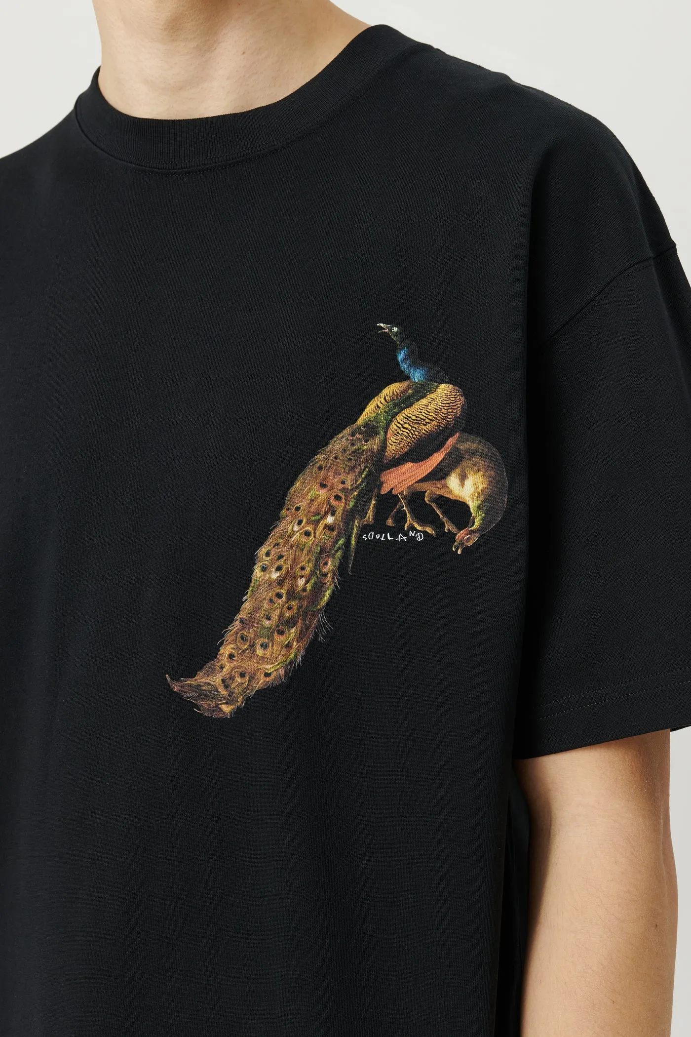 KAI PEACOCK T-shirt sold by Soulland product image thumbnail 2