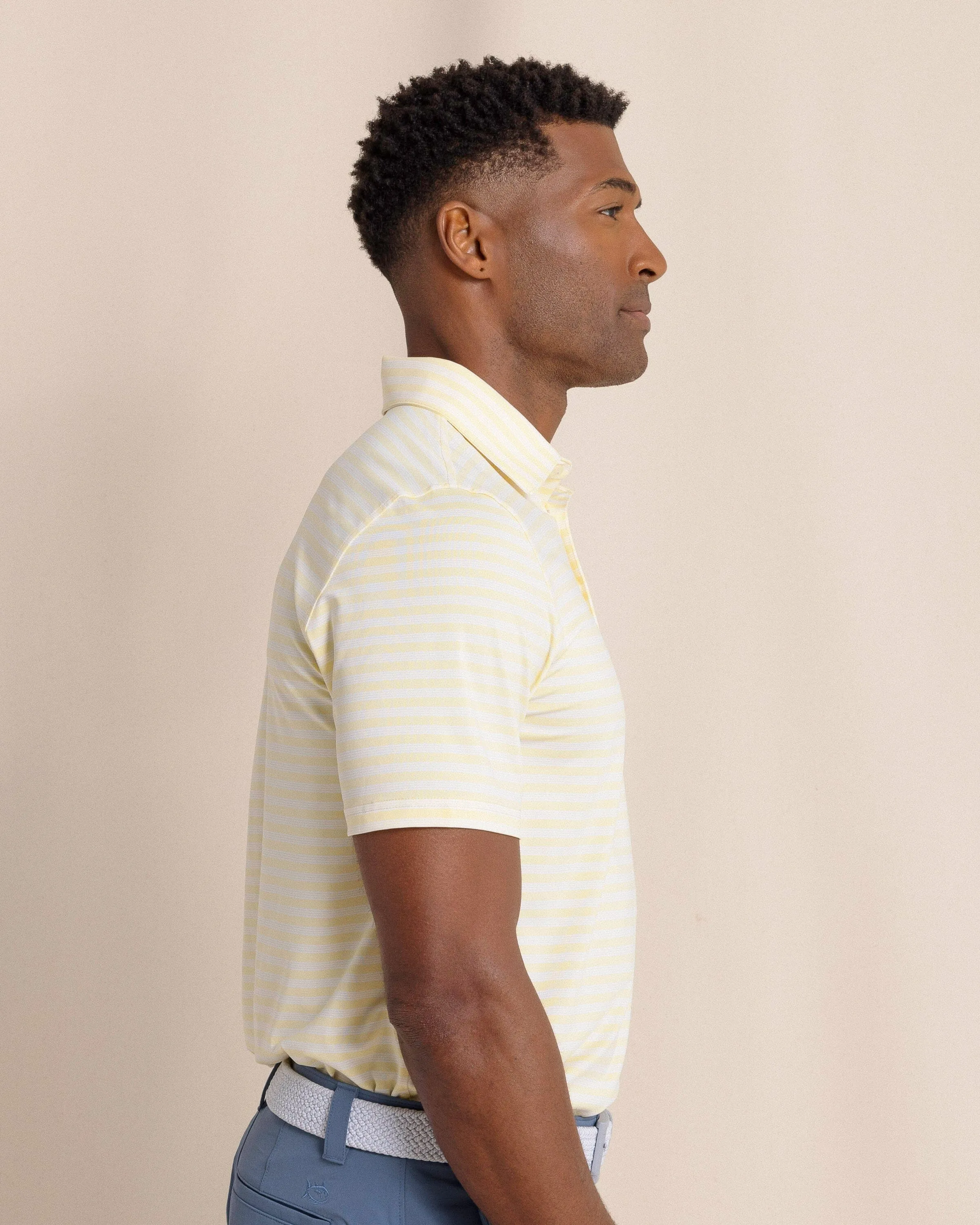Driver Sevilla Stripe Polo sold by Southern Tide product image thumbnail 4
