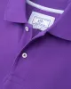 Skipjack Gameday Colors Polo Shirt sold by Southern Tide