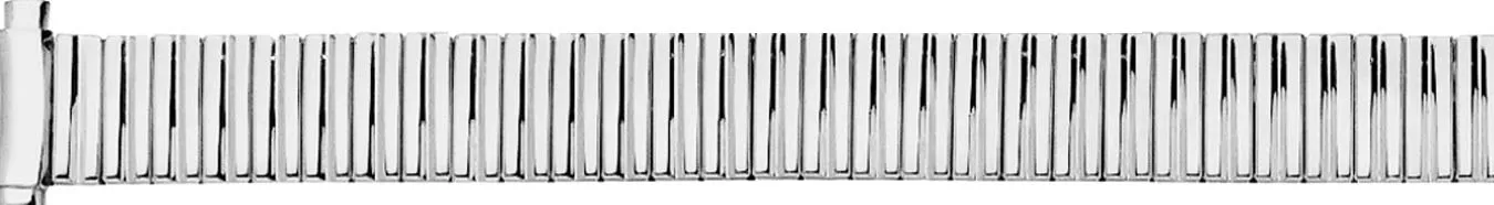 Curved Squeeze End Expansion Watchband 2909 sold by Speidel