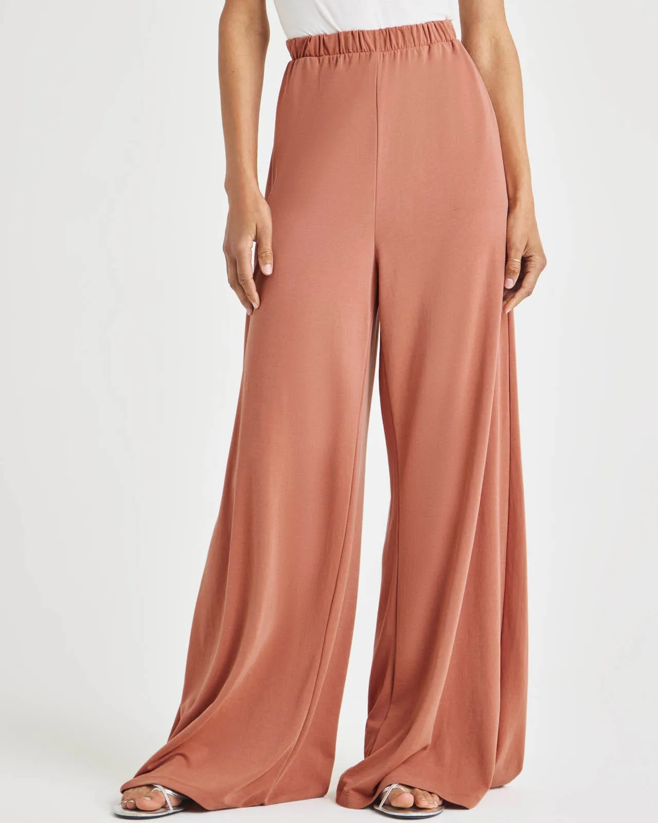 Giada Sandwash Palazzo Pant sold by Splendid product image thumbnail 5