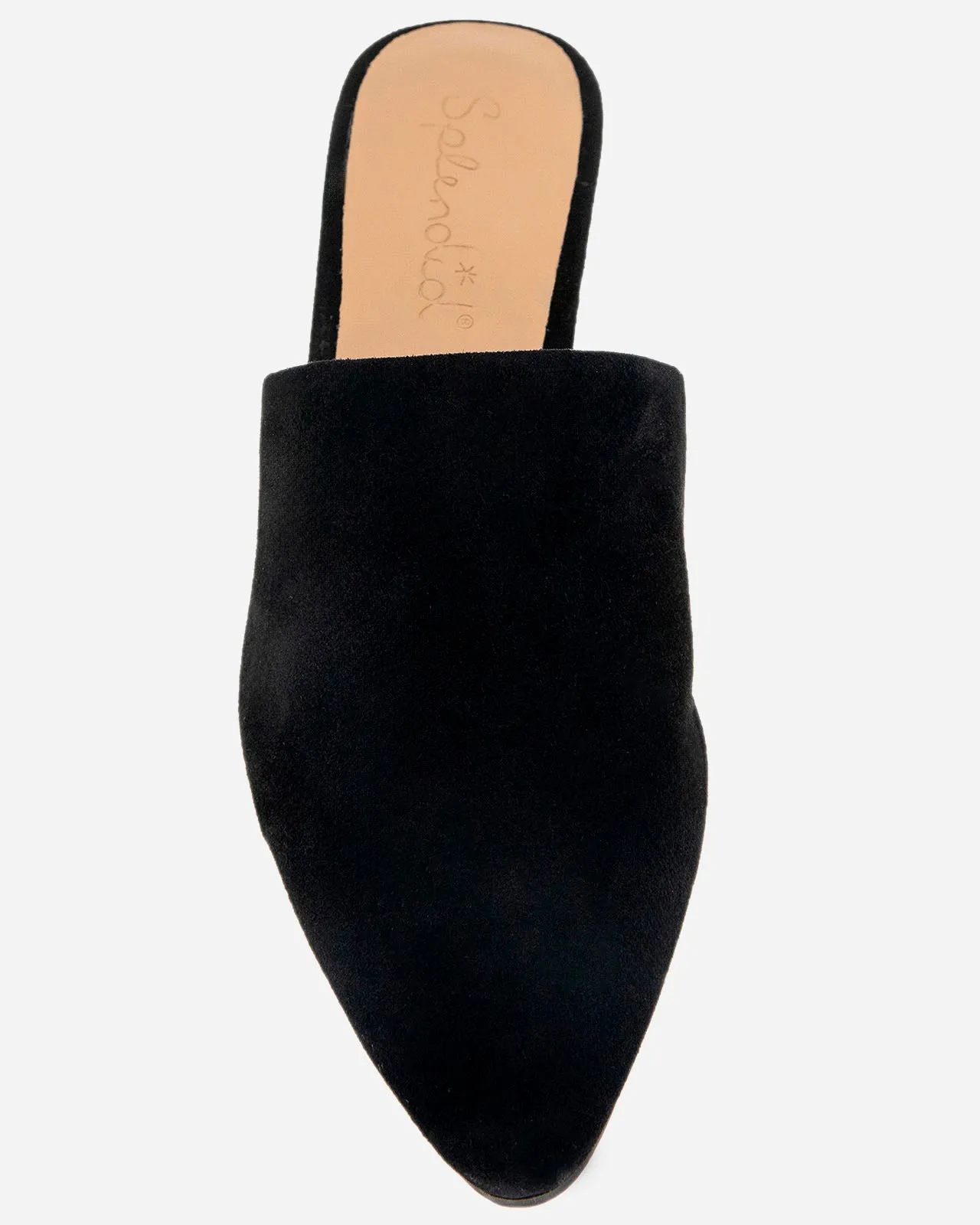 Lorelei Suede Mule Slide in Black sold by Splendid product image thumbnail 4