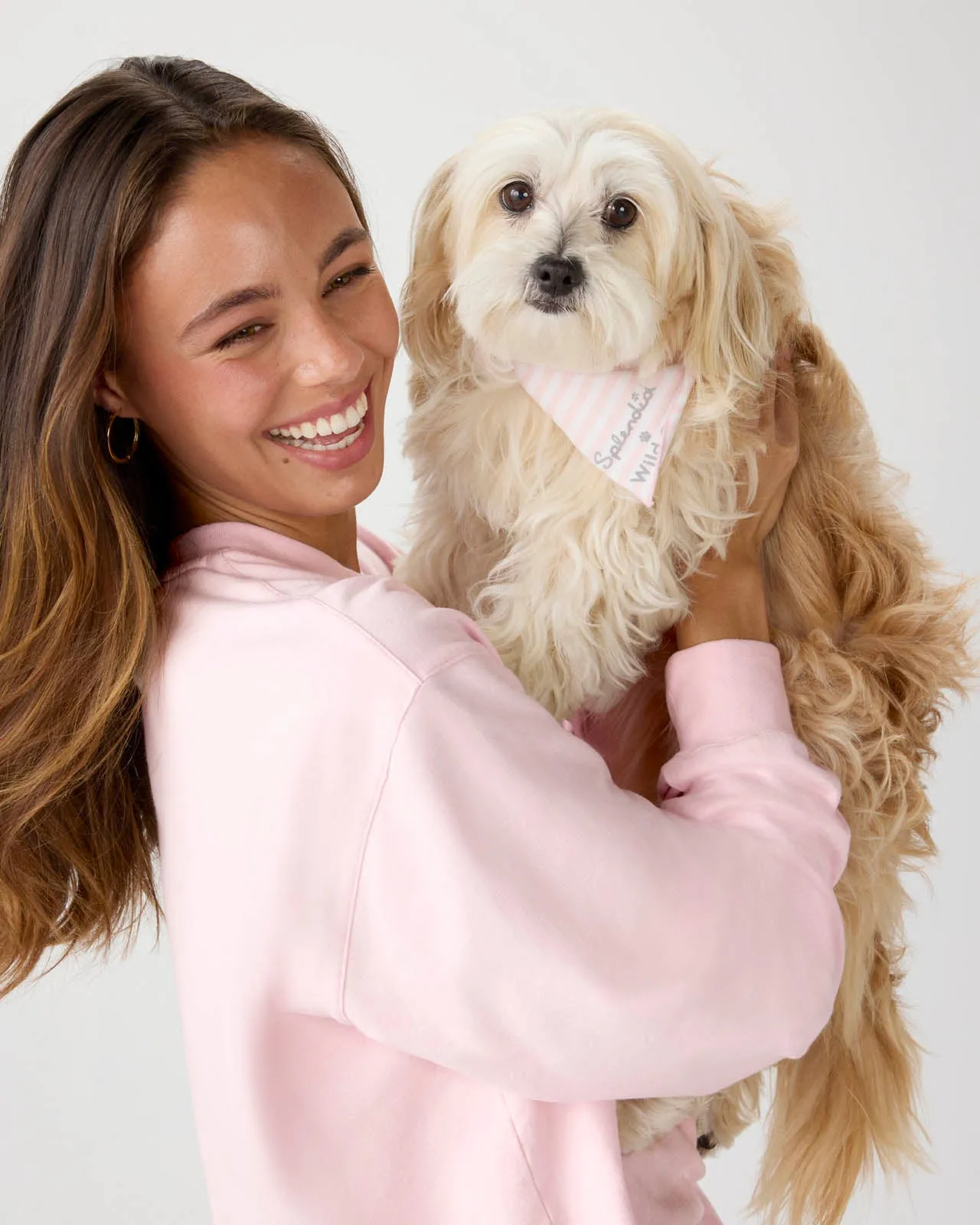 Splendid x Wild One Dog Bandana sold by Splendid