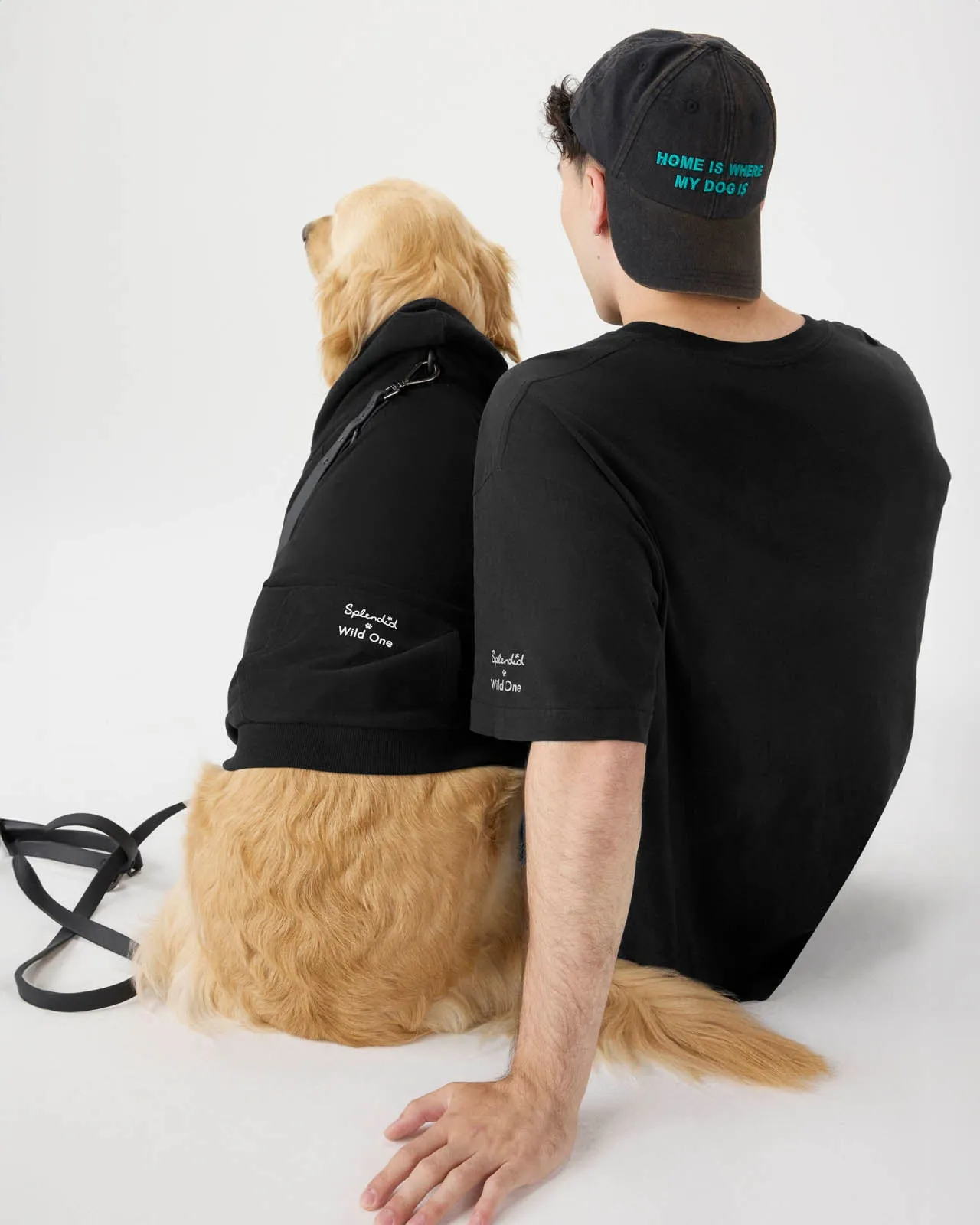 Splendid x Wild One Dog Hoodie sold by Splendid product image thumbnail 2