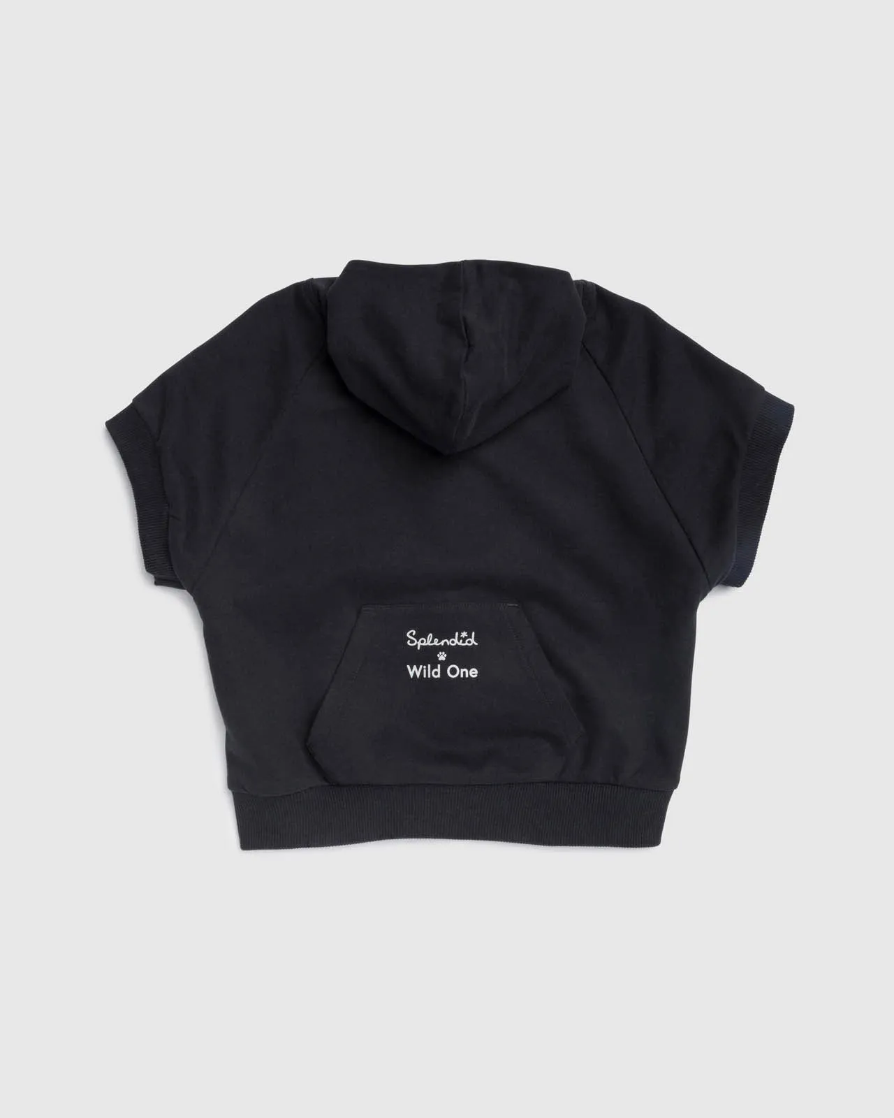 Splendid x Wild One Dog Hoodie sold by Splendid product image thumbnail 5