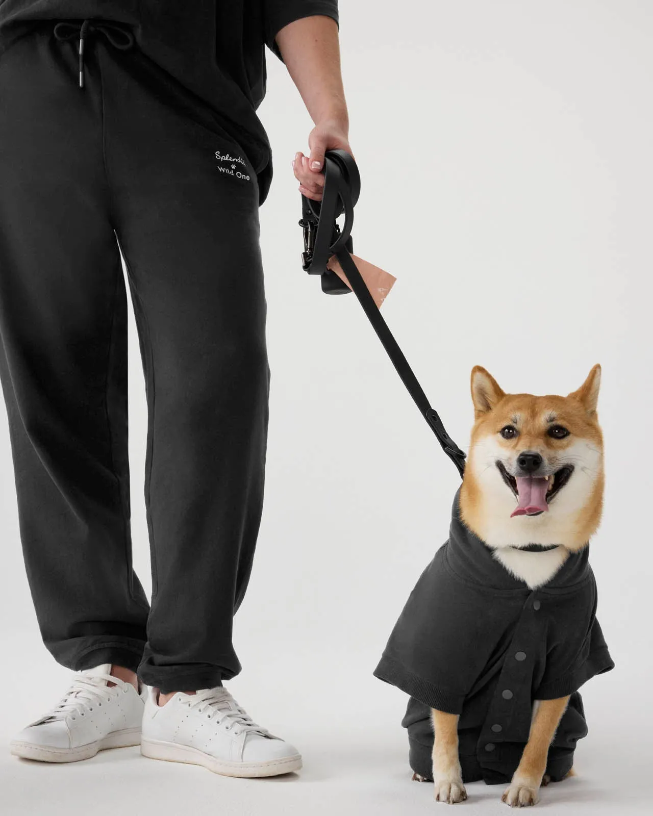 Splendid x Wild One Dog Hoodie sold by Splendid product image thumbnail 4