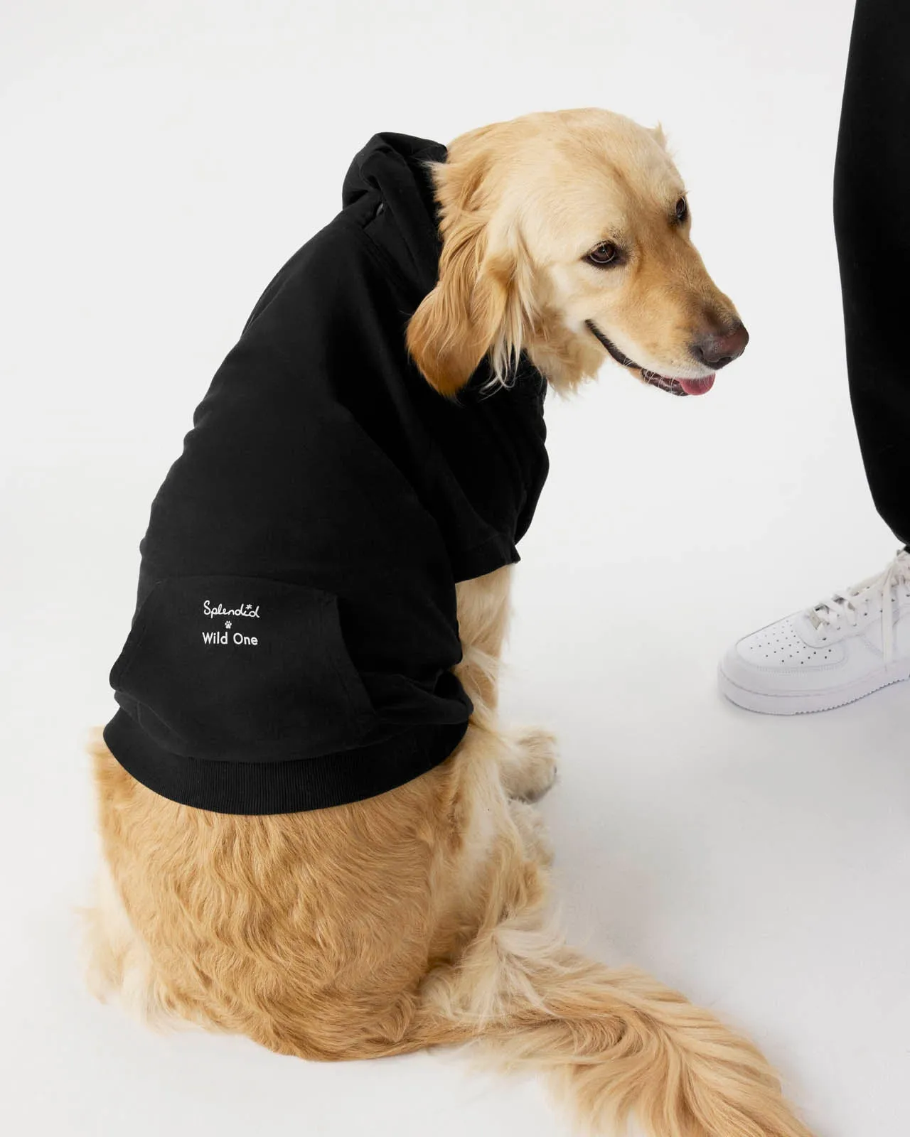 Splendid x Wild One Dog Hoodie sold by Splendid product image thumbnail 3