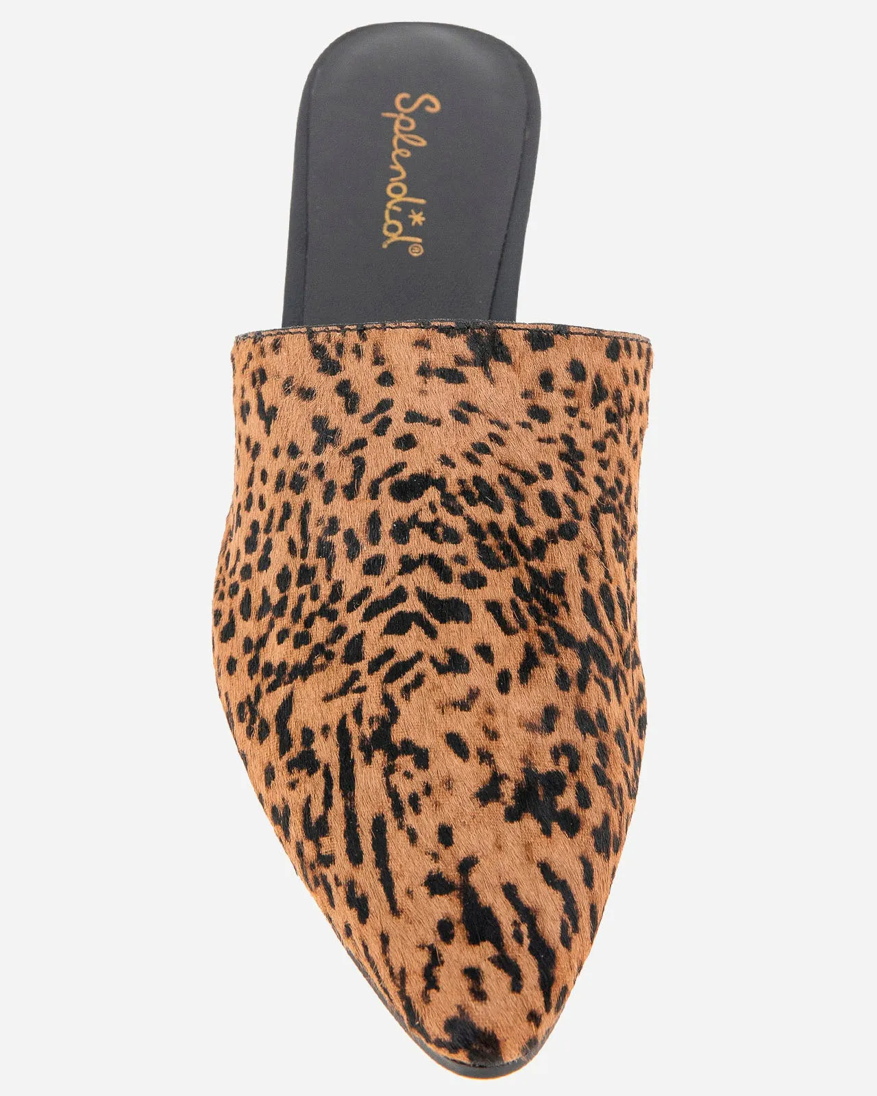 Lorelei Leopard Mule sold by Splendid product image thumbnail 3