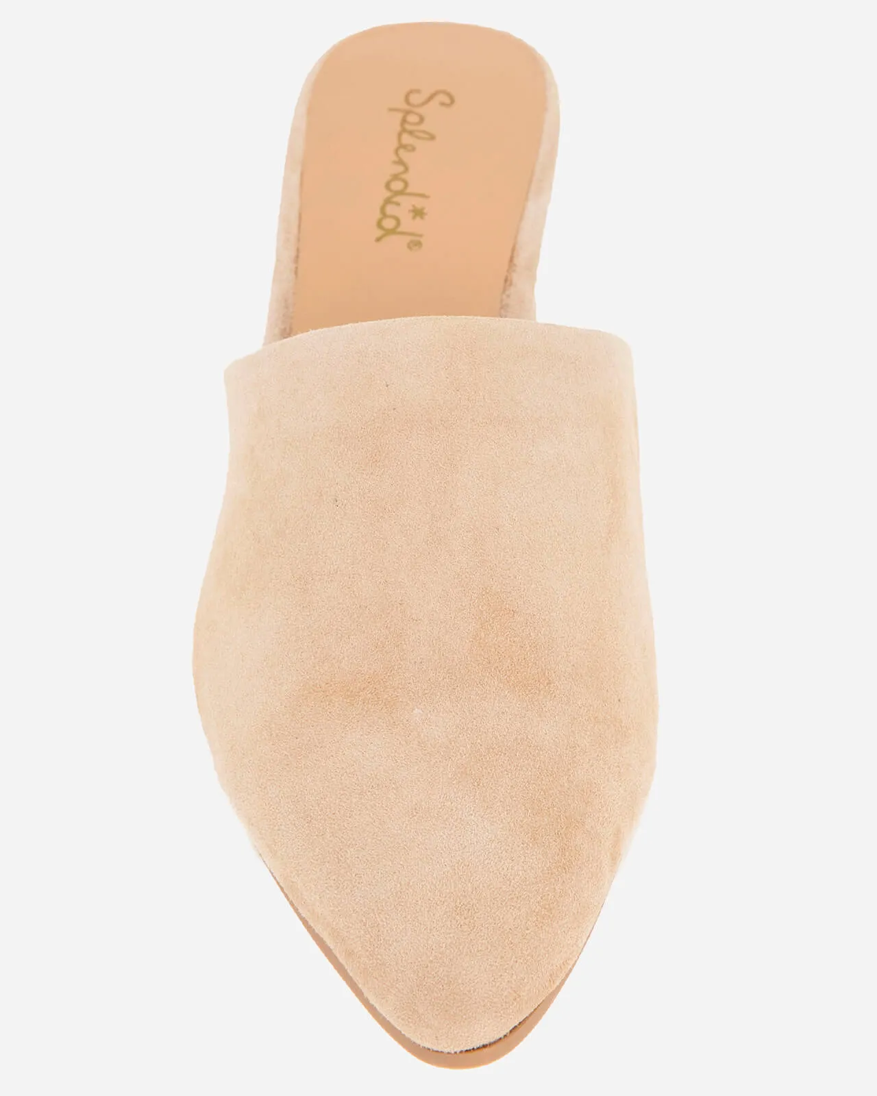 Lorelei Mule in Camel sold by Splendid product image thumbnail 3