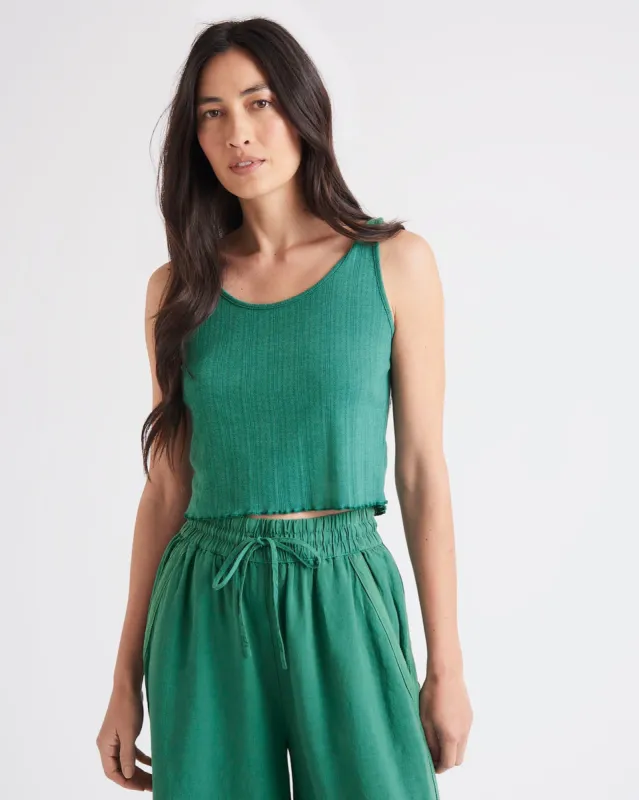 Arlie Pointelle Tank sold by Splendid