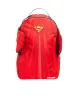 SUPERMAN CAPE WINGS sold by Sprayground