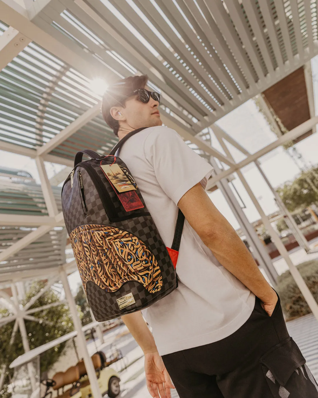 DIAA ALLAM SEEKING PERFECTION 001 BACKPACK sold by Sprayground product image thumbnail 4