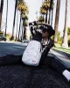 THE DAILY DOODLE DLXSV BACKPACK sold by Sprayground