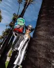 MONEY BEAR TOO SKOOL FOR COOL DLXSR BACKPACK sold by Sprayground