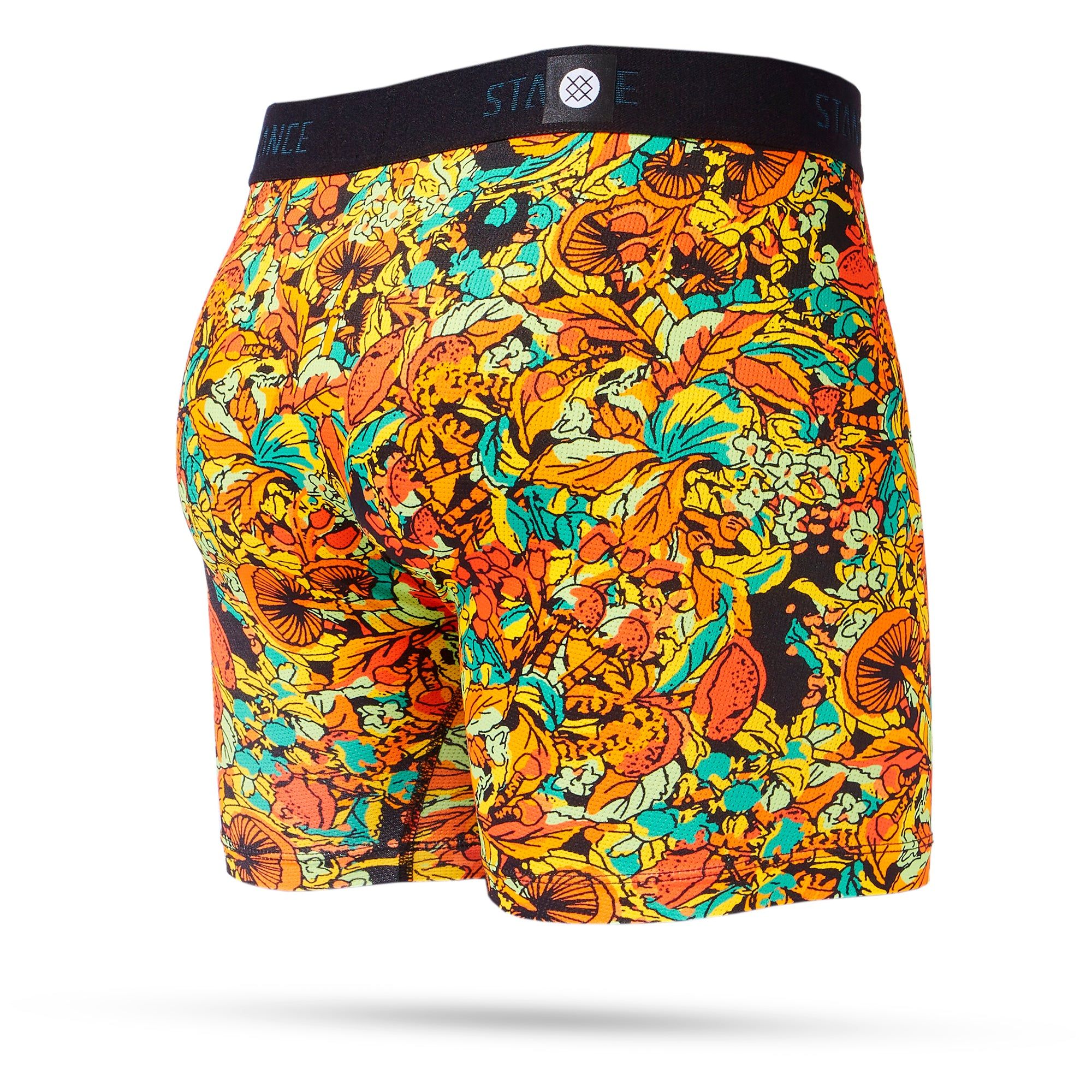 Whipple Bottom Boxer Brief Wholester sold by Stance product image thumbnail 2