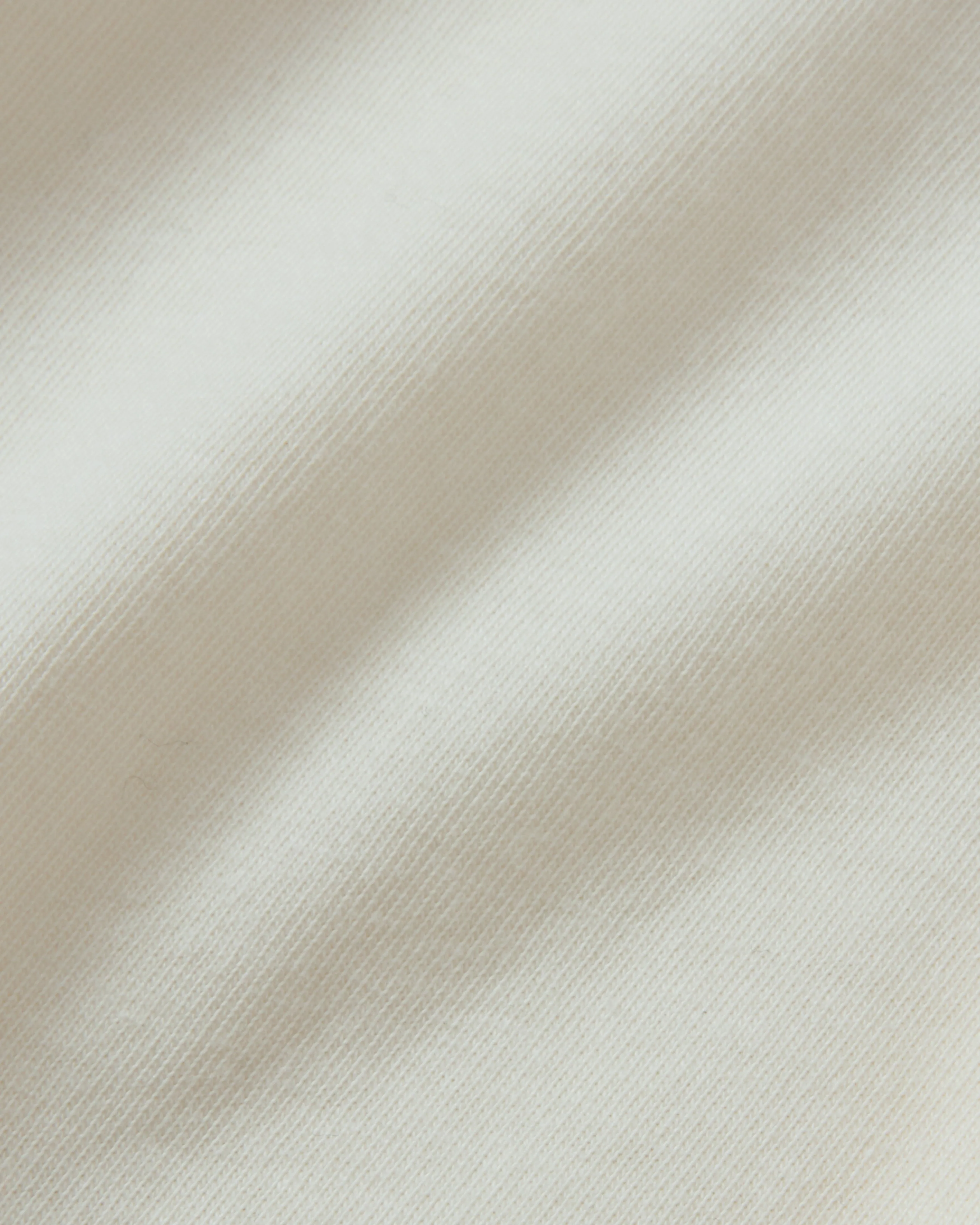 Pigeon Window Tee sold by Staple product image thumbnail 5