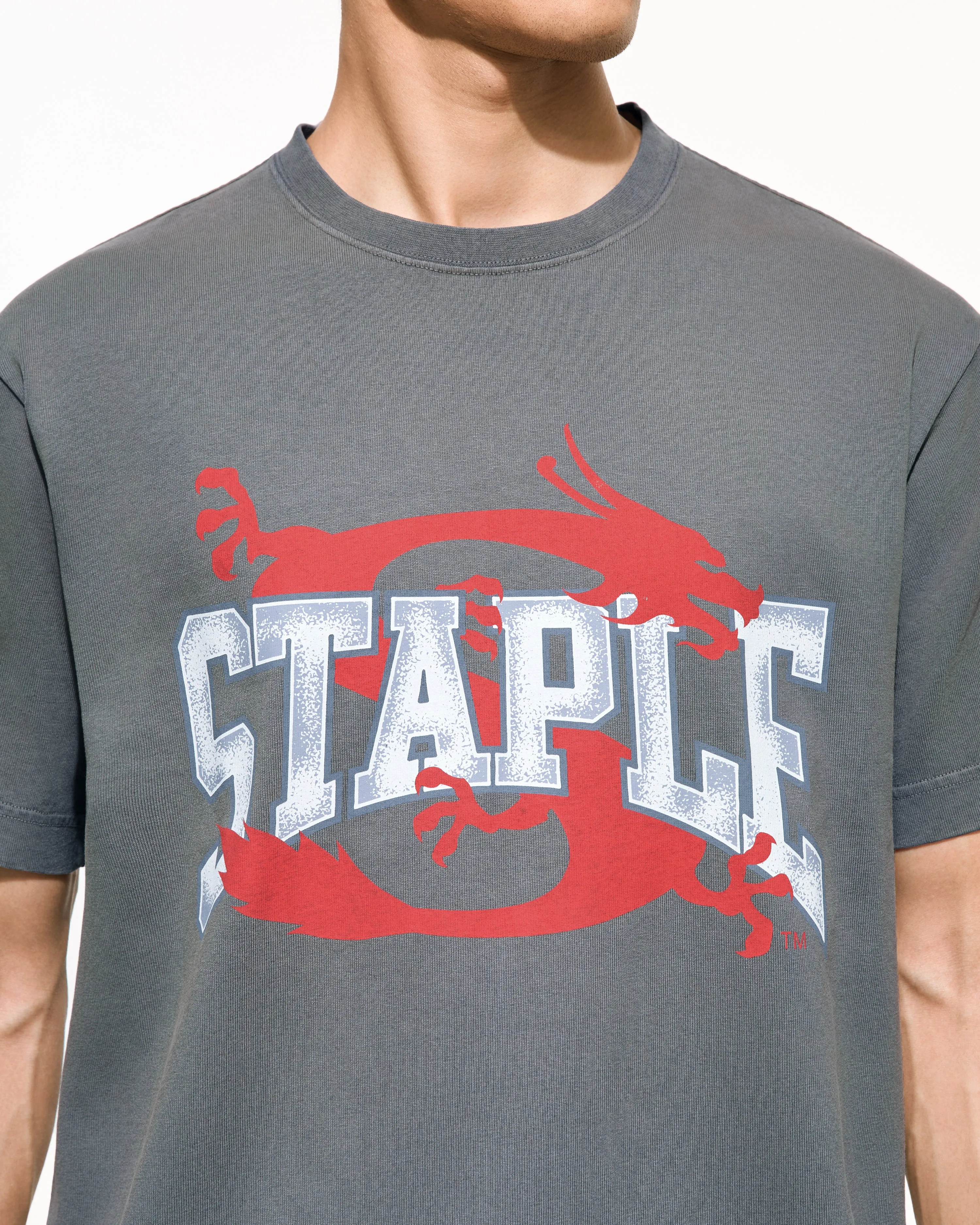 Frazier Dragon Tee sold by Staple product image thumbnail 5