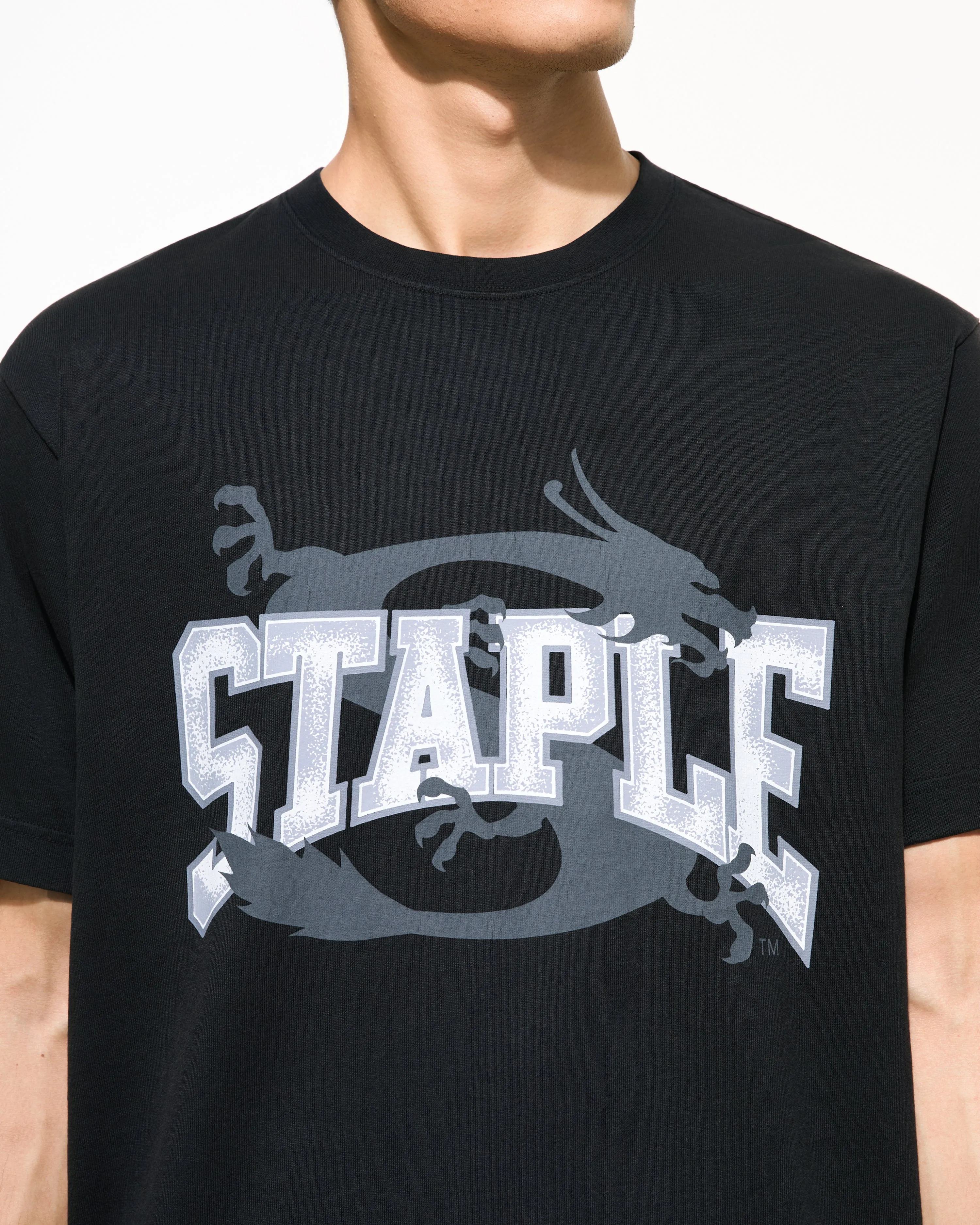 Frazier Dragon Tee sold by Staple product image thumbnail 3