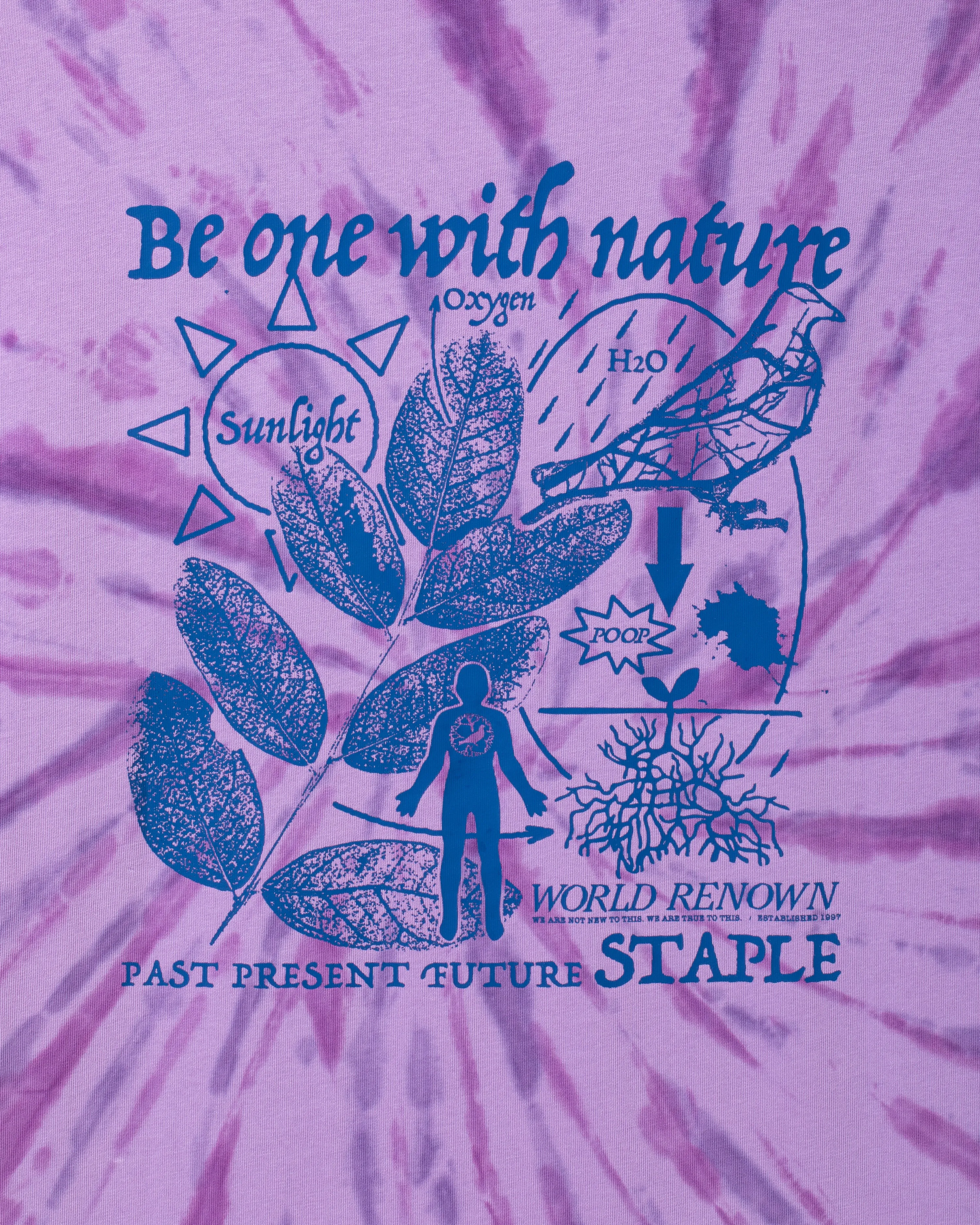 Cypress Graphic Tee sold by Staple product image thumbnail 3