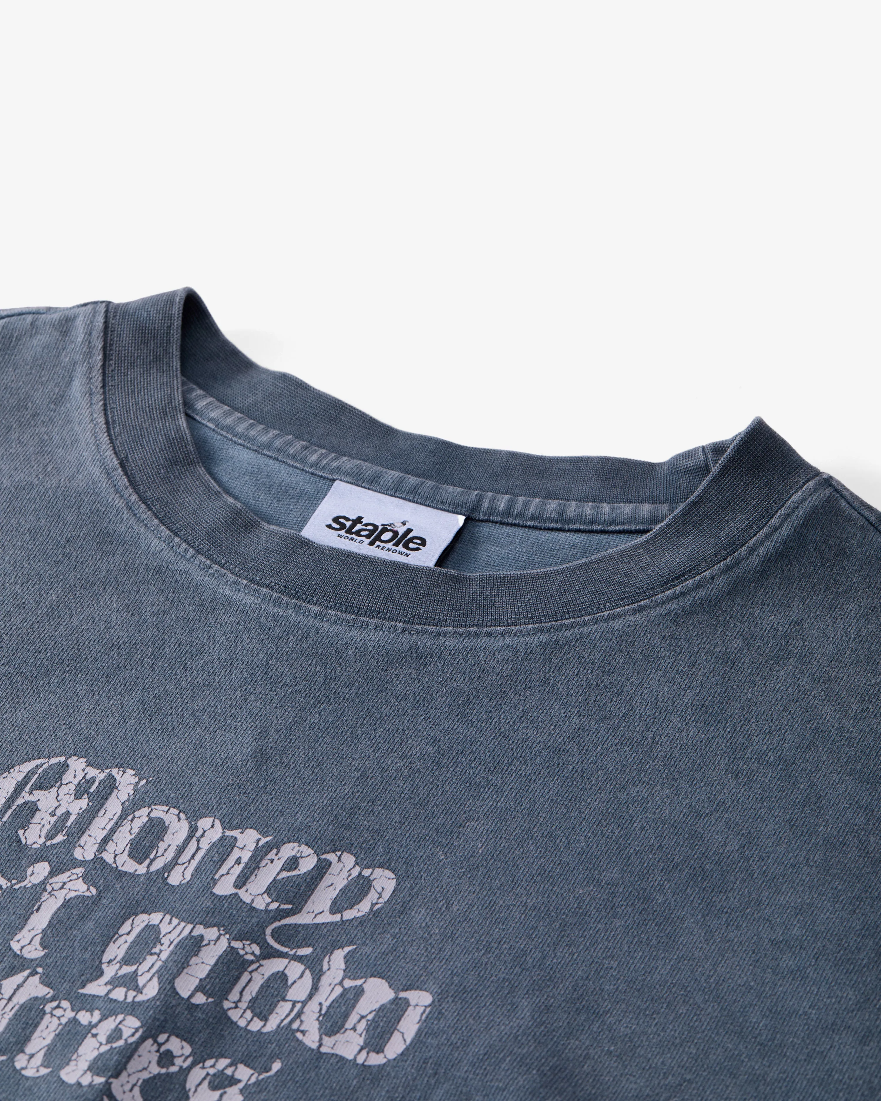 MoneyTree Washed Tee sold by Staple product image thumbnail 3