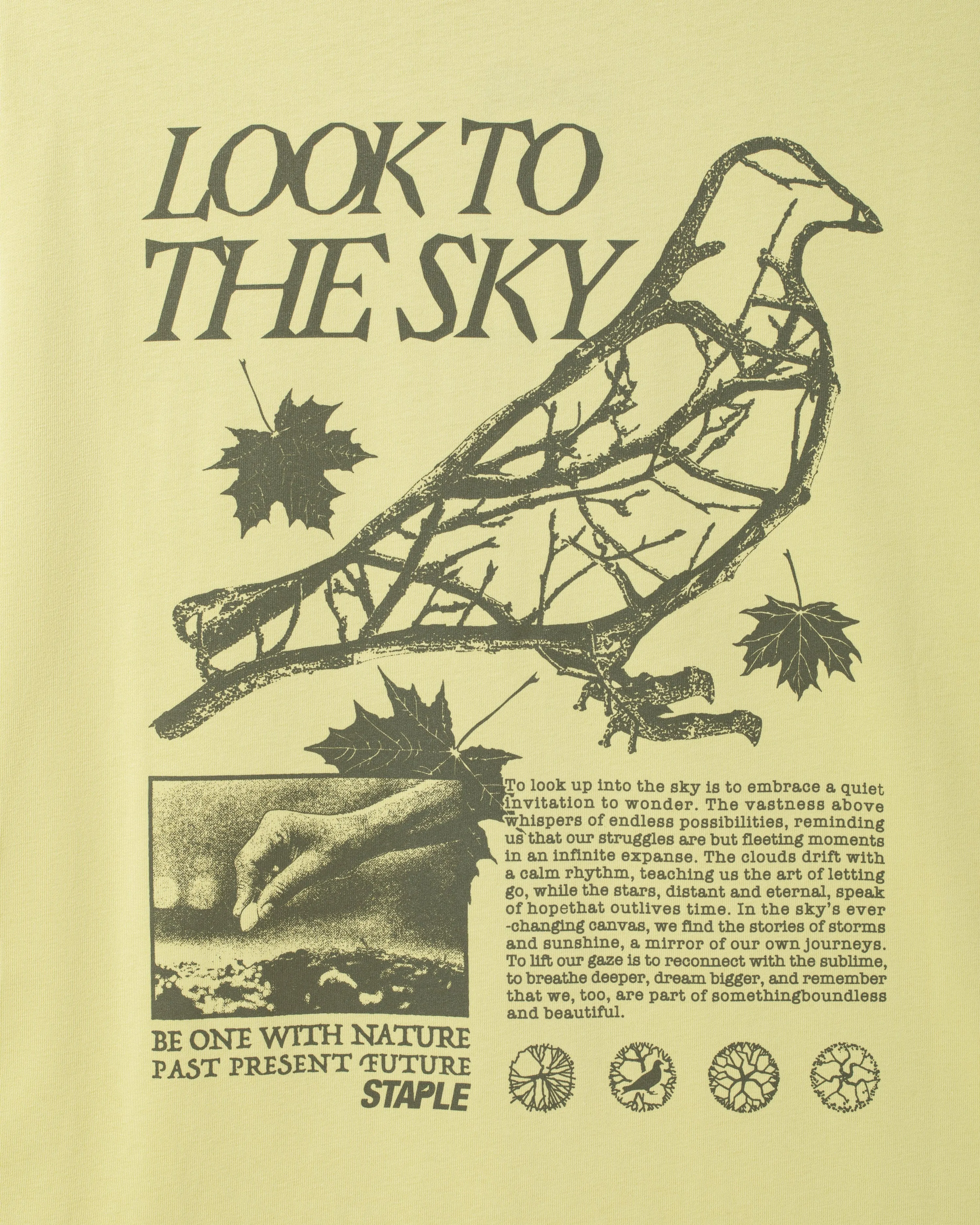 Juniper Graphic Tee sold by Staple product image thumbnail 4