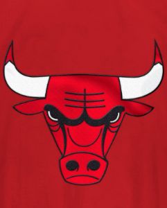 Chicago Bulls Home Team Half-Zip Jacket sold by Starter