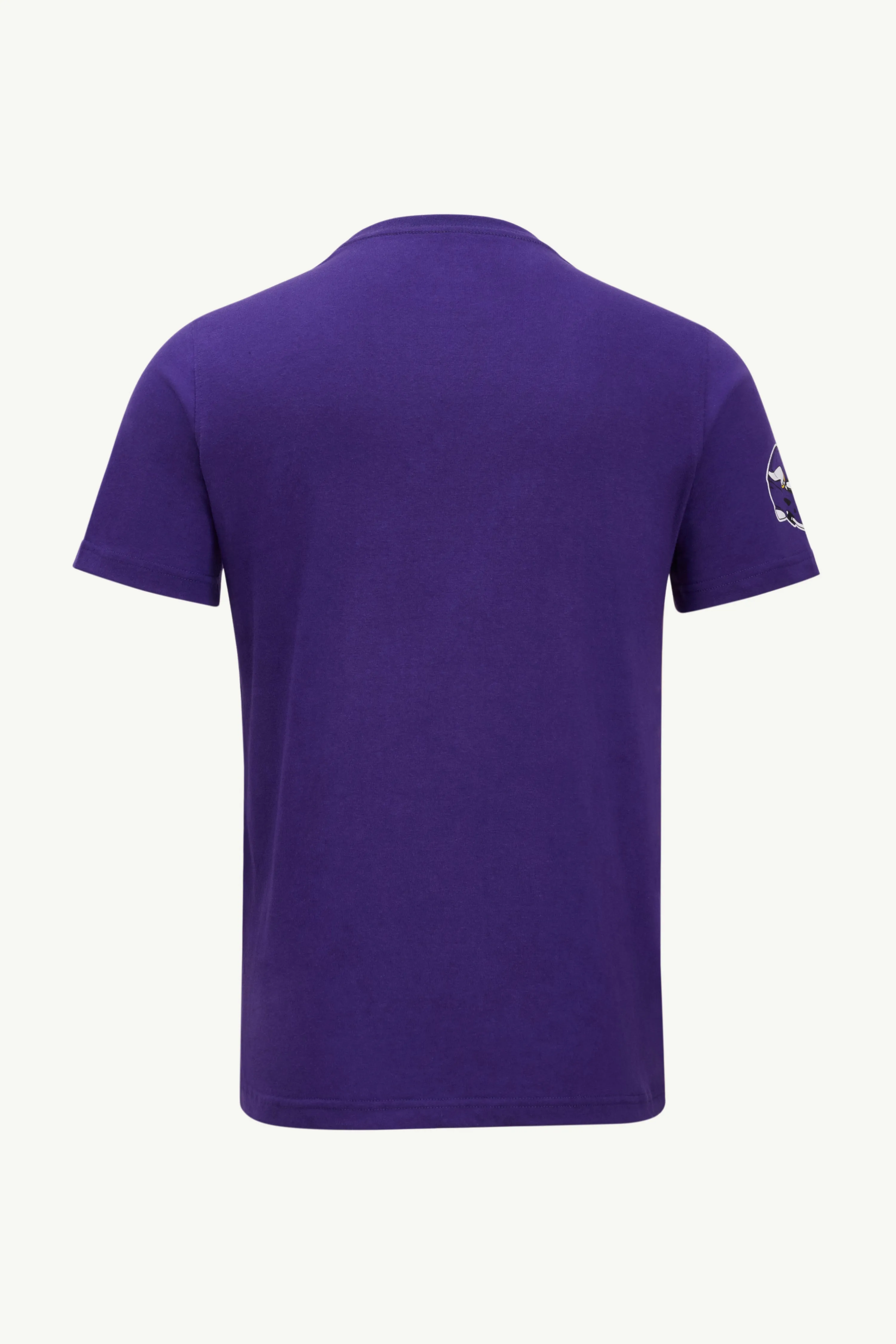 MENS MINNESOTA VIKINGS GRAPHIC T SHIRT sold by Starter product image thumbnail 2