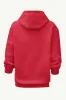 WOMENS ATLANTA FALCONS COLOR SHADING HOODIE sold by Starter
