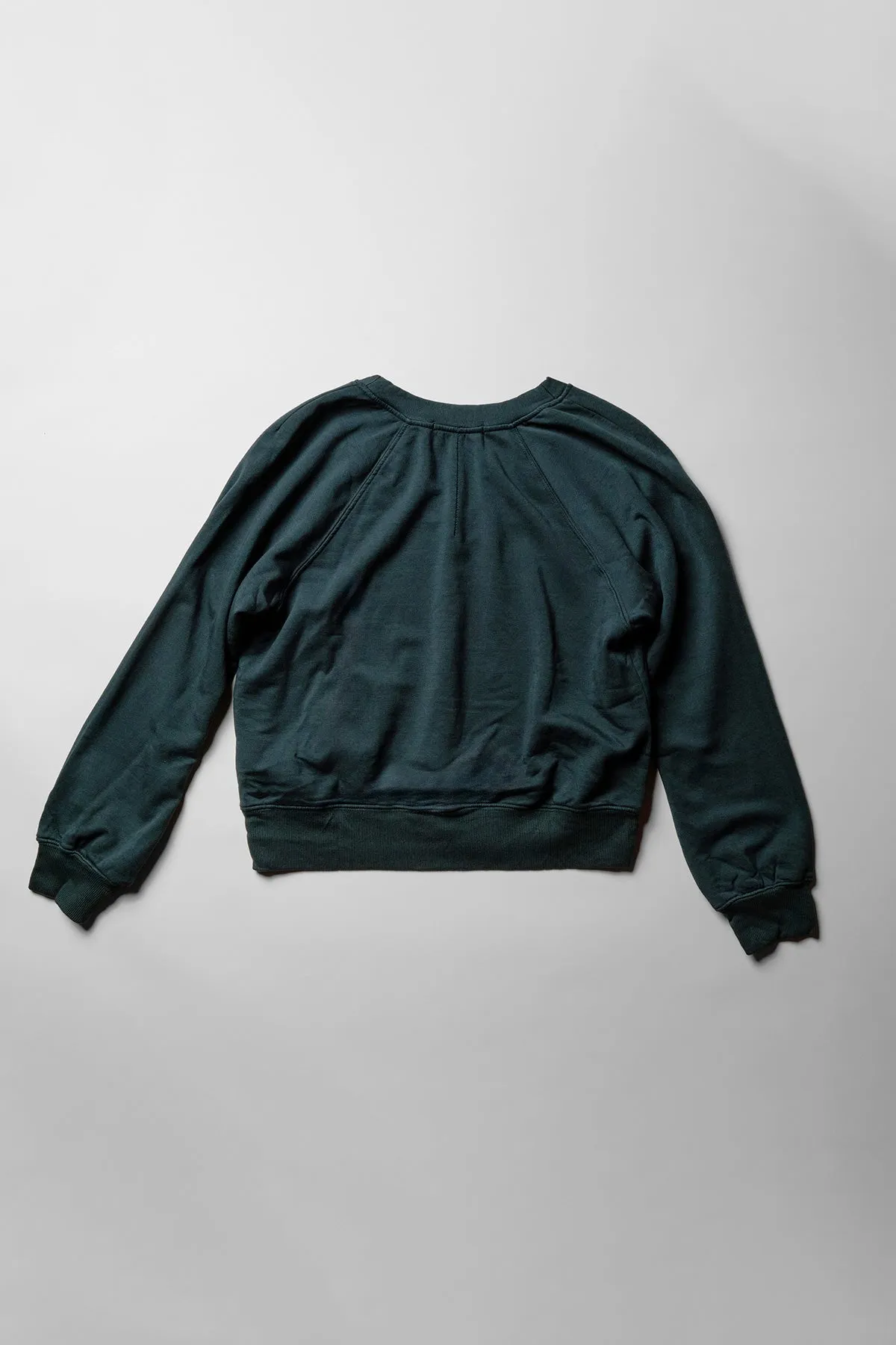 Softest Fleece Raglan V-Neck Pullover in Everfall sold by Stateside product image thumbnail 4